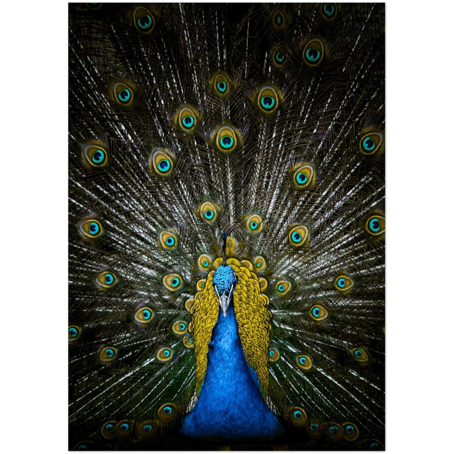 7c52c052-b353-457c-a4b7-db8f9935ad79