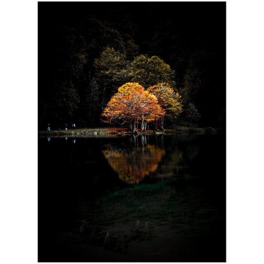 7c596237-ae38-4145-bf21-92569a84e306