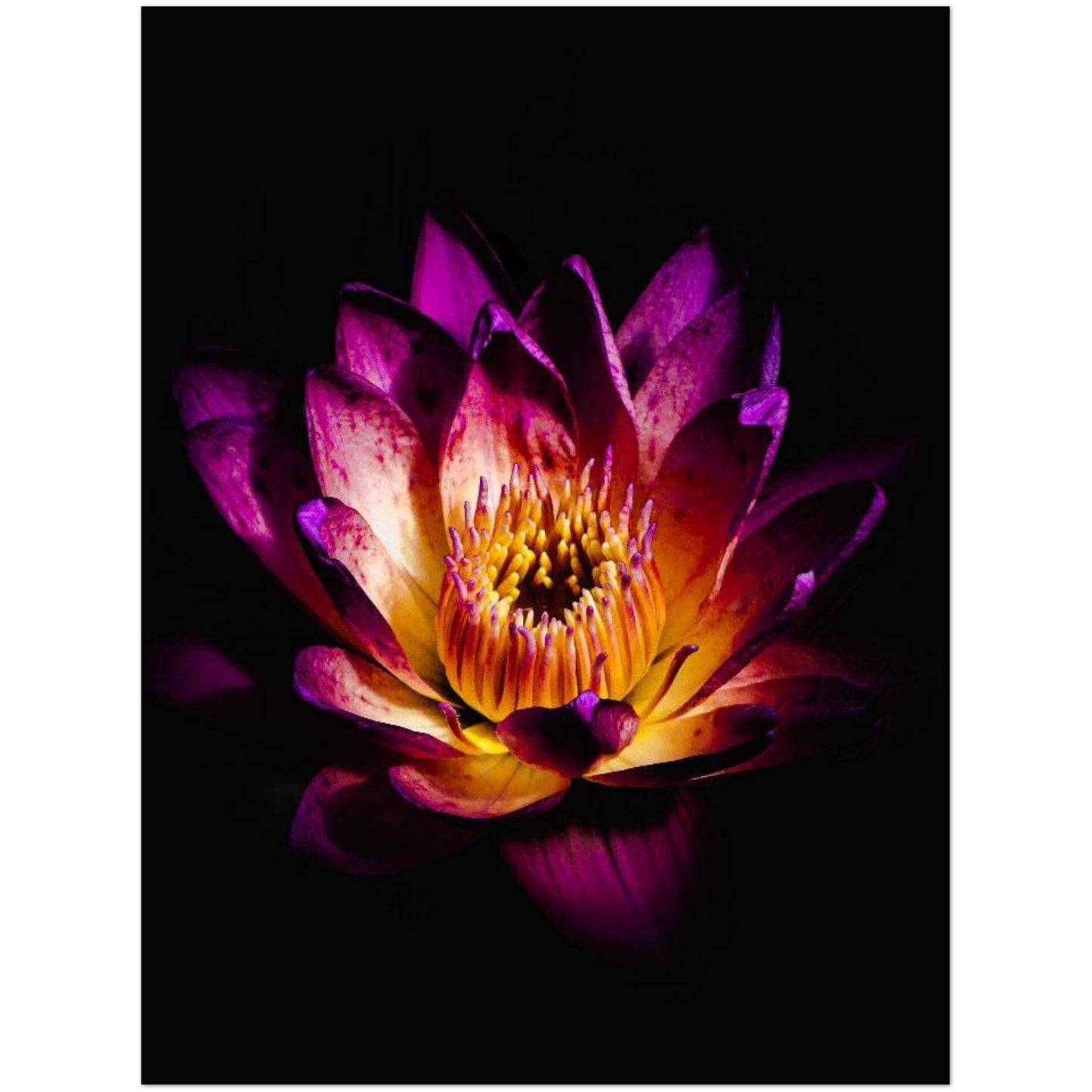 7d666790-7568-4100-94e7-66e77f0e4710