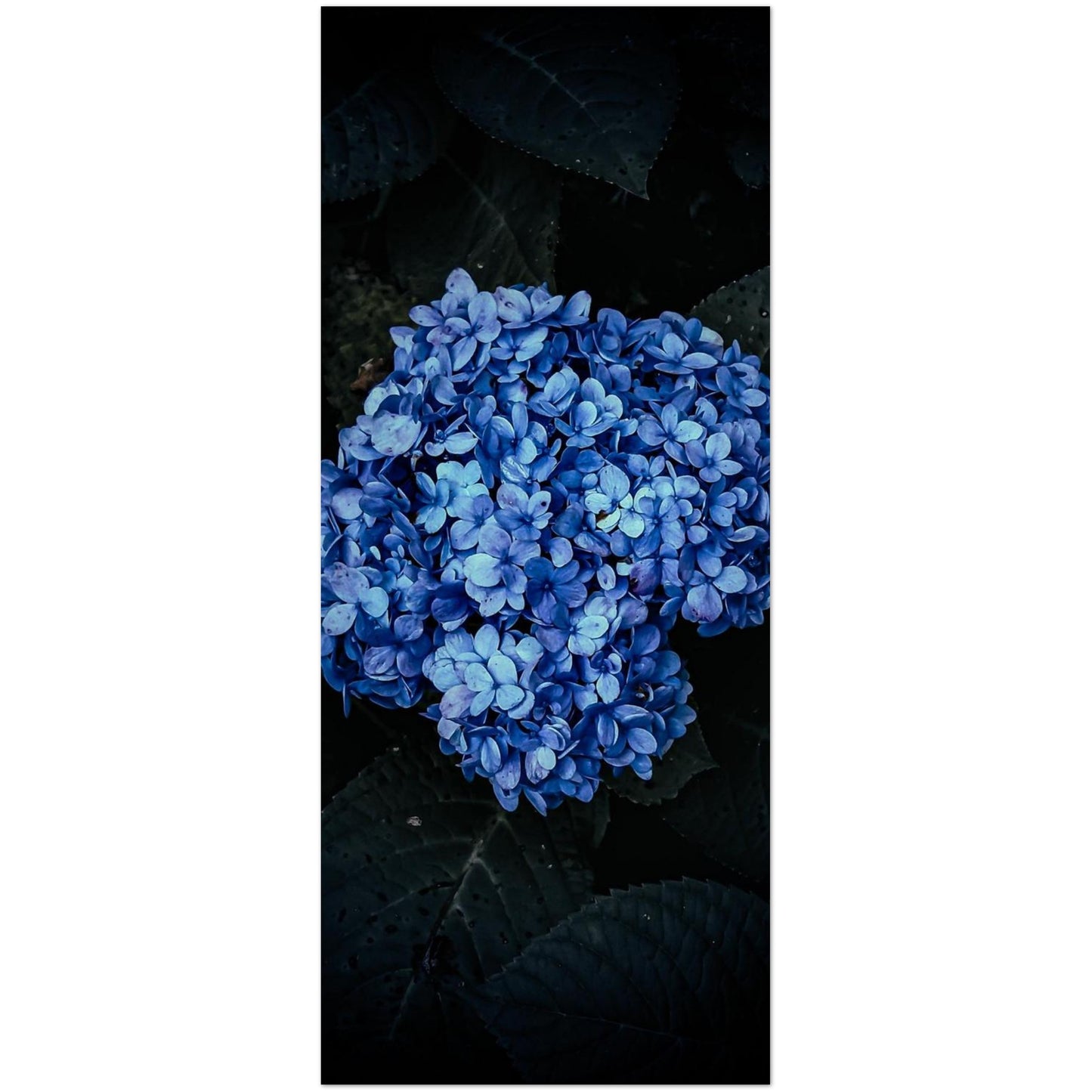 7e2d87a5-fff7-472e-bb5c-9f64bed9394d