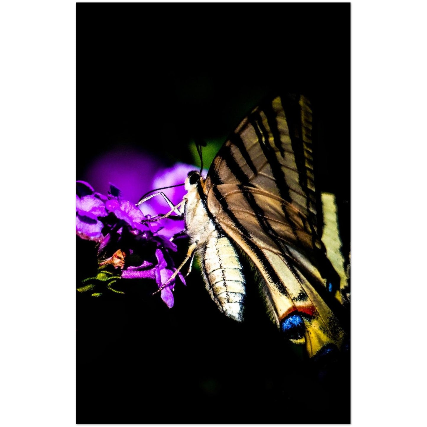 7efc287b-8e06-4386-9d4f-112eedfc69c3