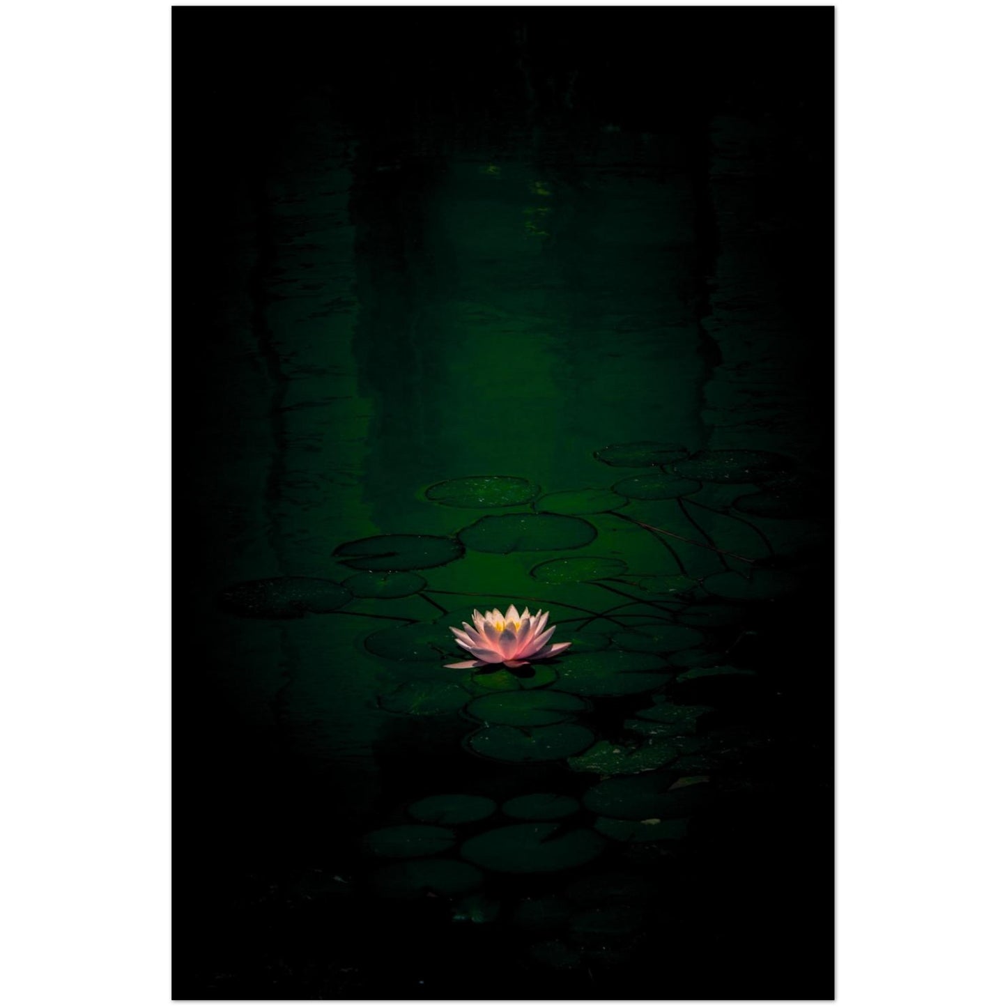 80d86c07-f003-4f85-9322-7c8f43724042