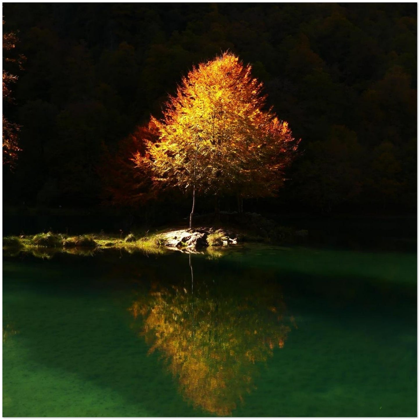 81193611-ed61-45db-a42e-ad34a03f3ae2