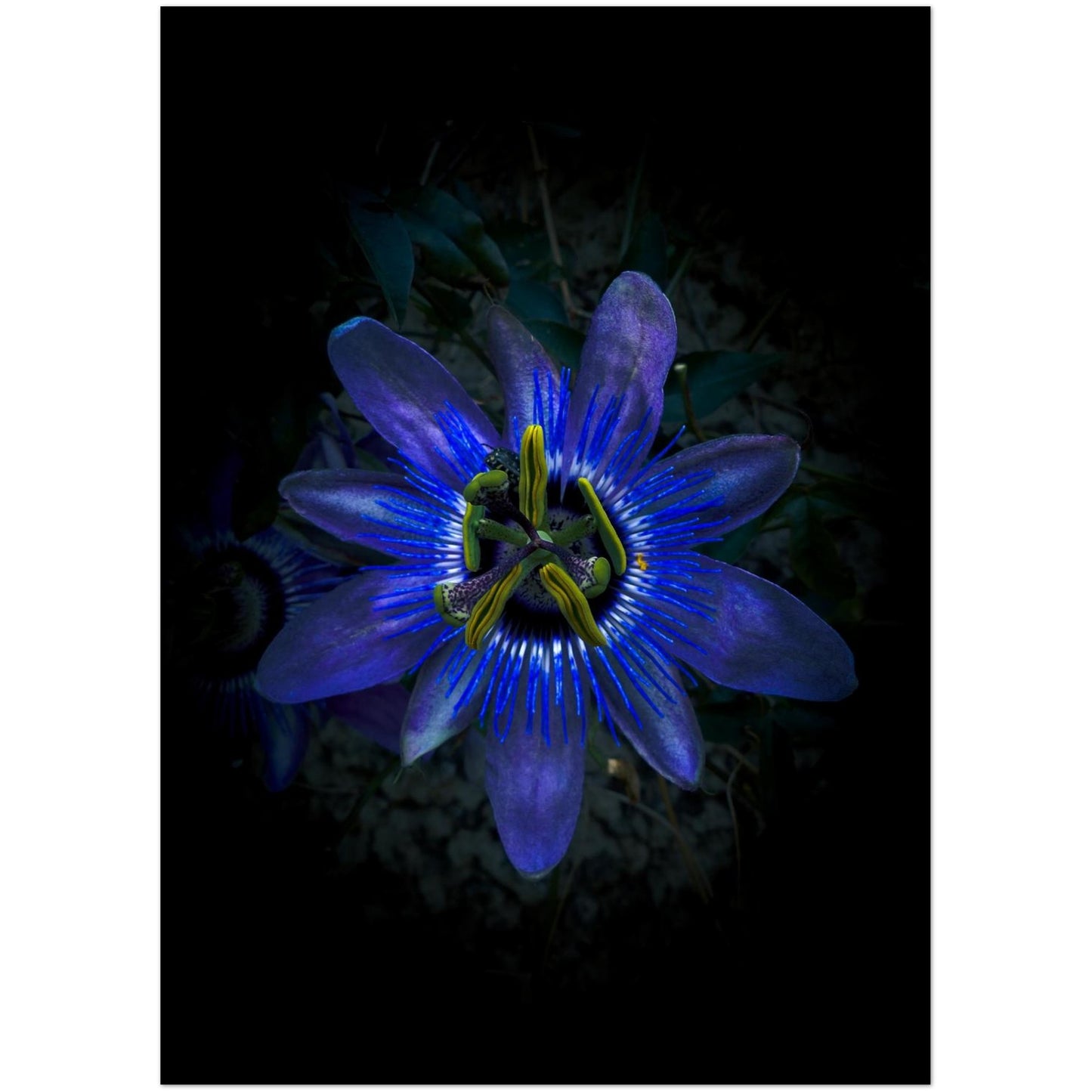 8136298b-e26c-40b7-abe0-4d9117298789