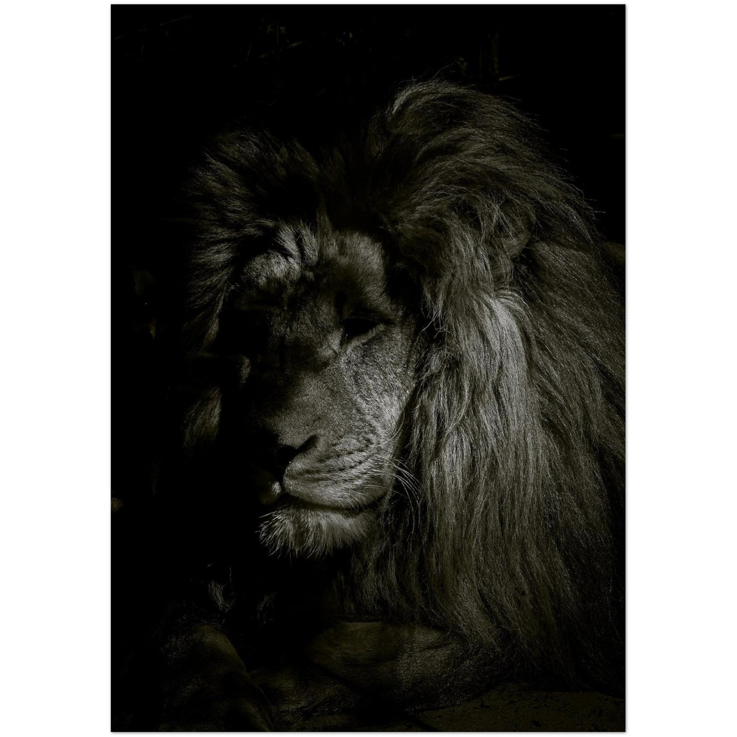 868c5cf2-d701-4d36-93e0-b9158be3d467