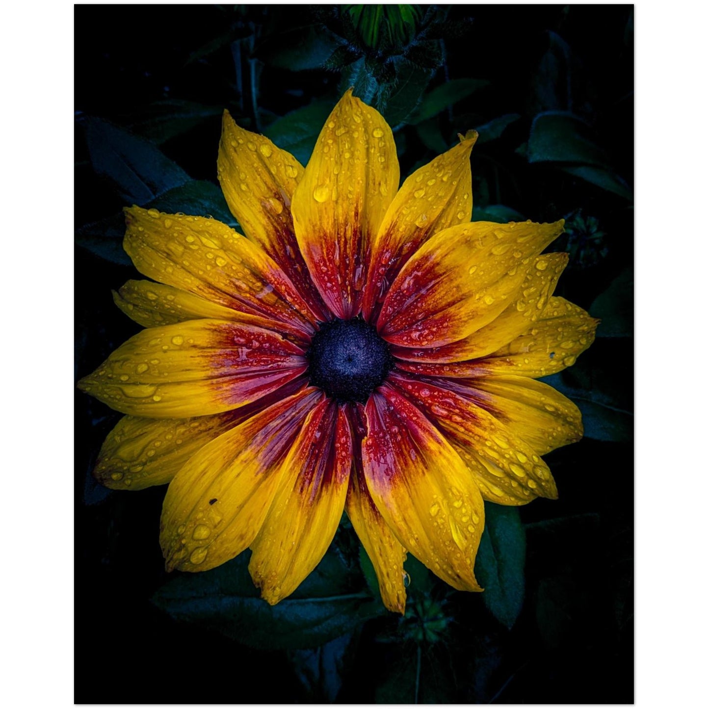 87000c1b-5d09-456c-a28c-ba772fdfed84