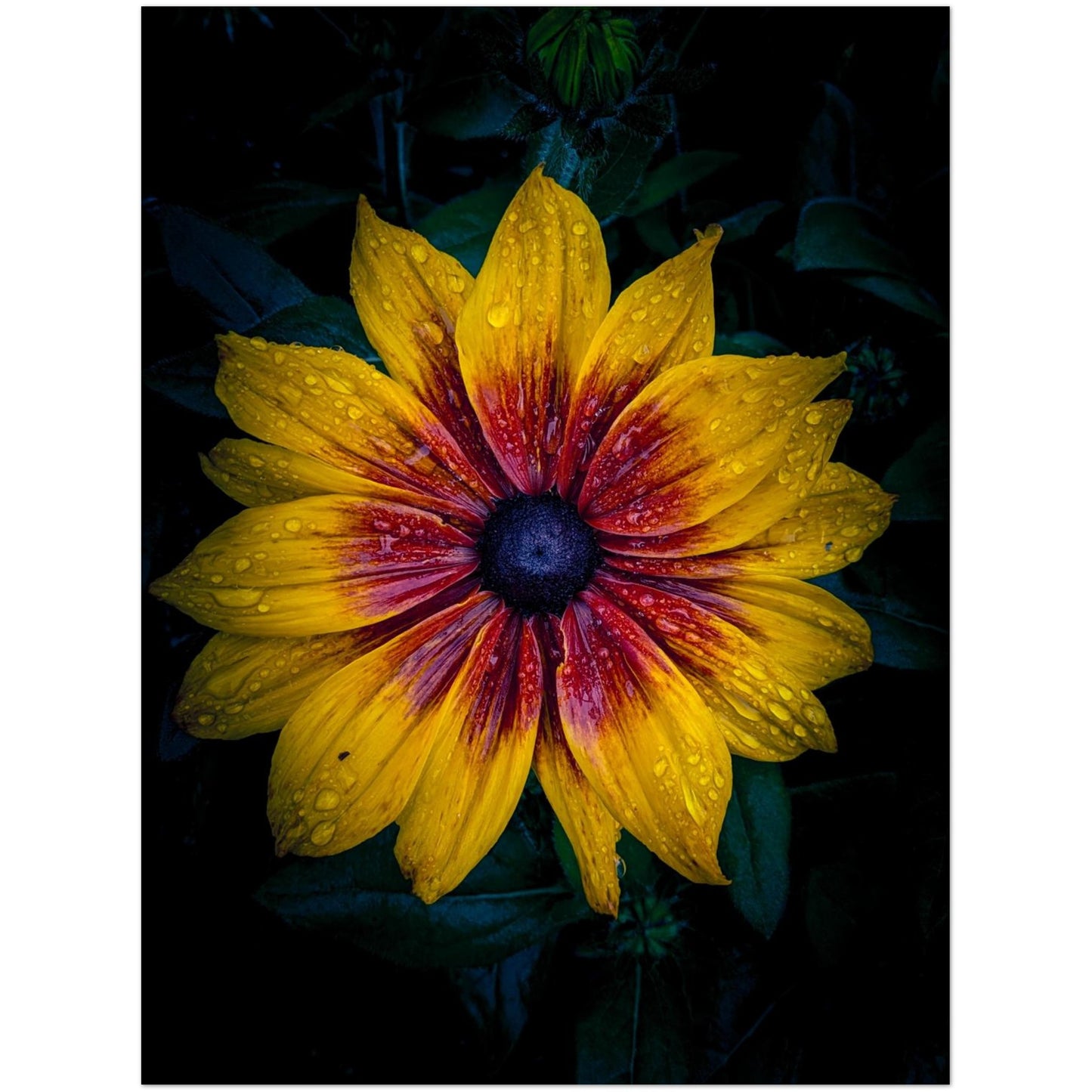 877c8fdb-8152-4fea-bc69-5bb6b9b7f691