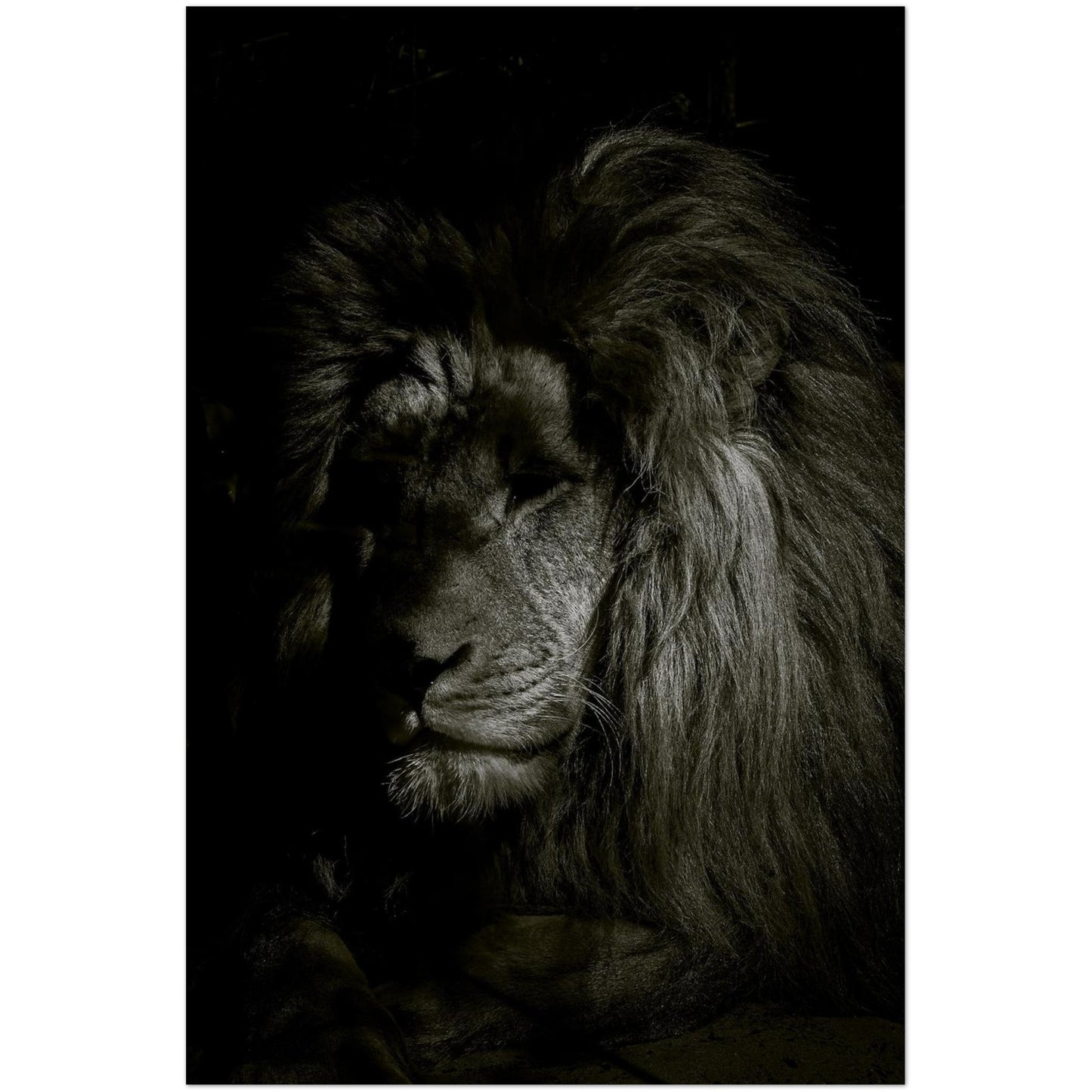 878ca6b0-be94-477a-8d5b-db611efe2772