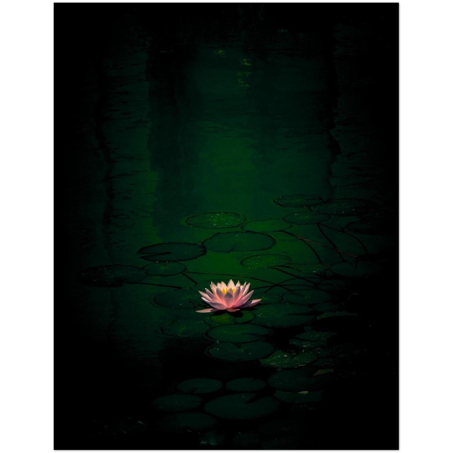 8ab6348d-7fd2-4d7f-ab97-b66f3efe1dd1