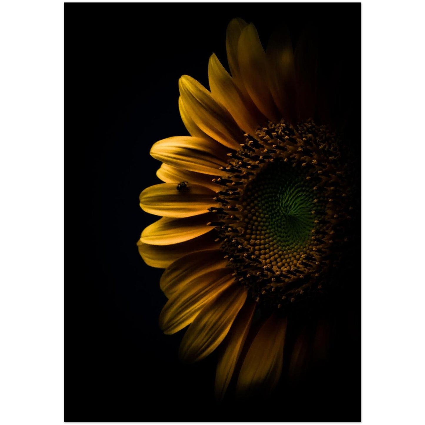 8c04425d-ede1-423d-b56b-c1567ff768c5