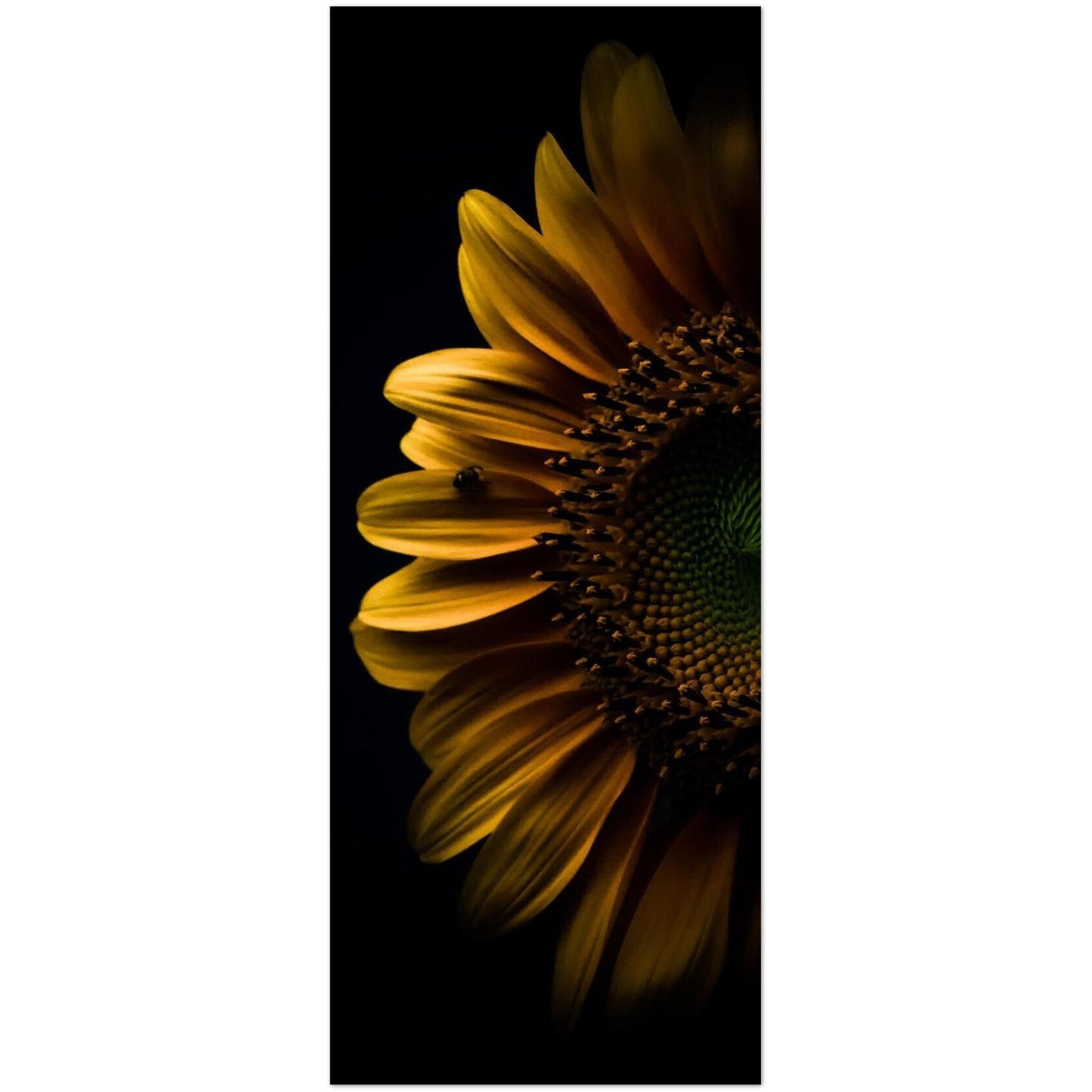 8c934649-e5da-4e88-acac-32d896b24185