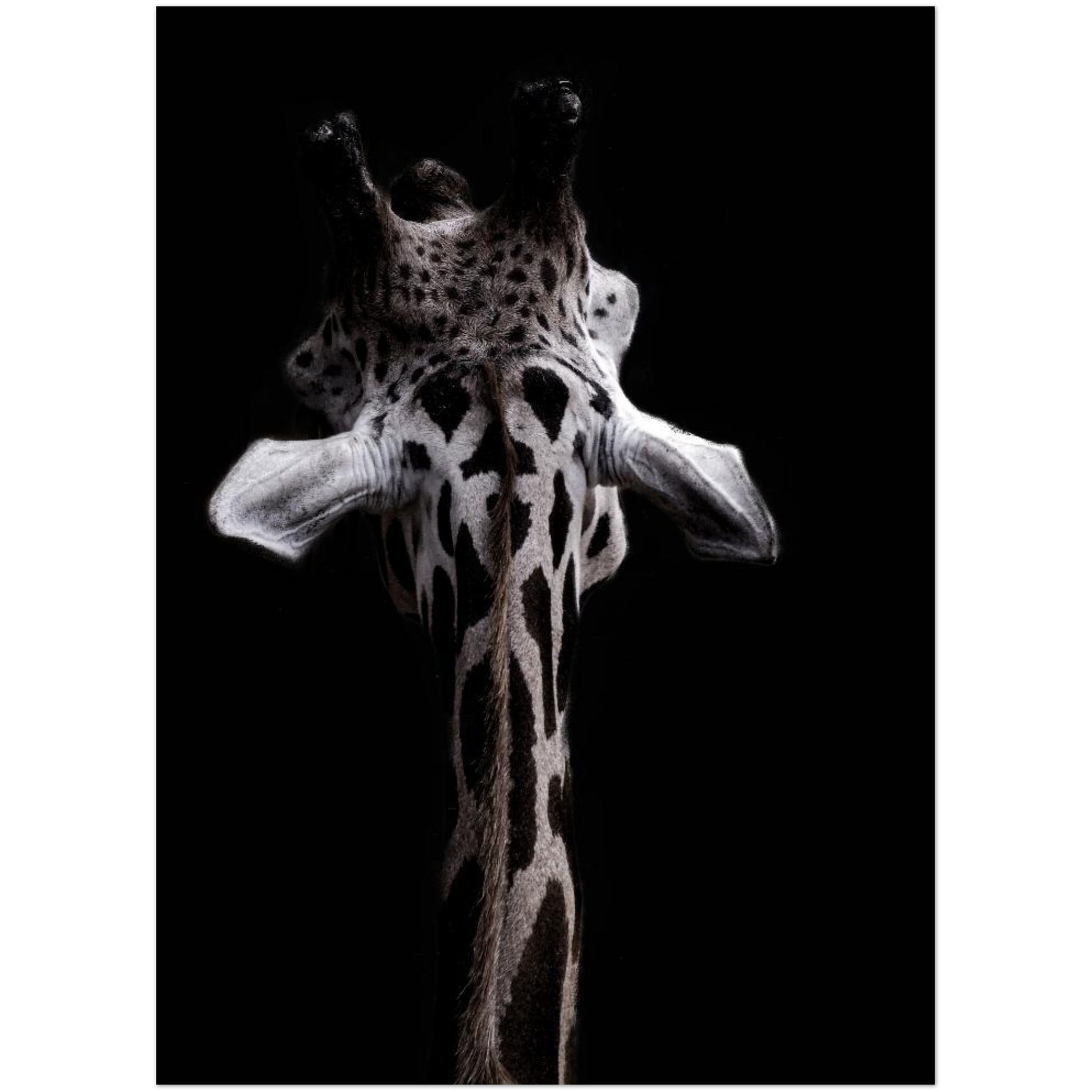 8f6616ac-cc5d-4a68-a7af-285e66d02cb8