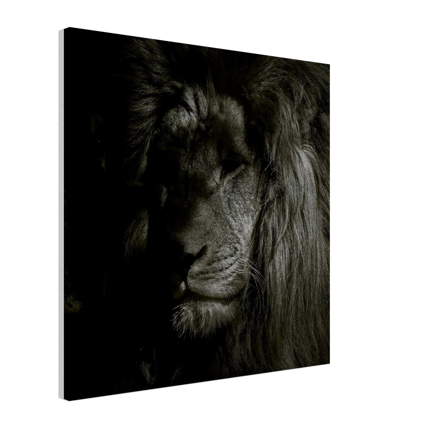 8f8d55e8-acf5-4da2-9db9-91951e7fdee3