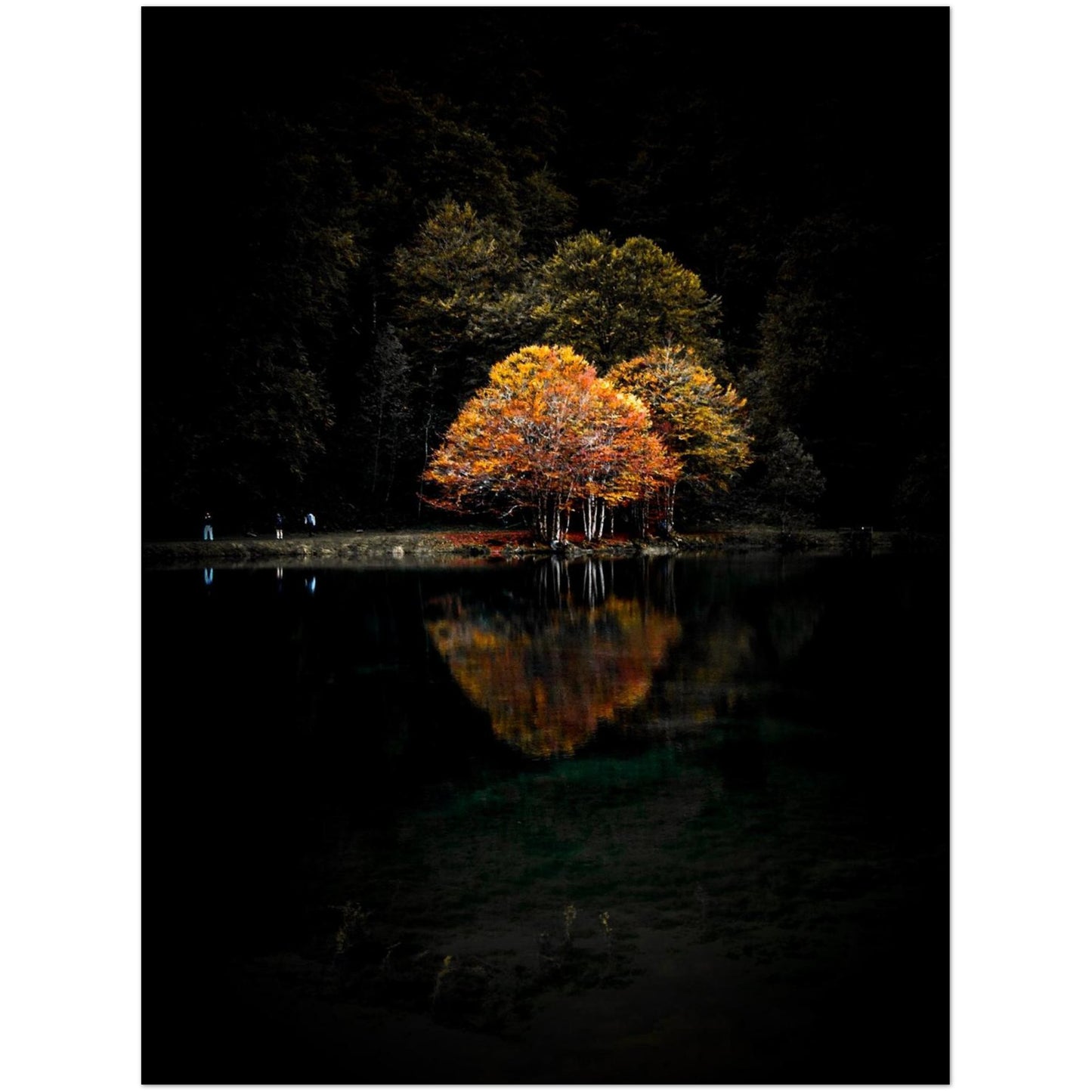 910d159b-6a81-4dc8-bedf-8463f0db309a