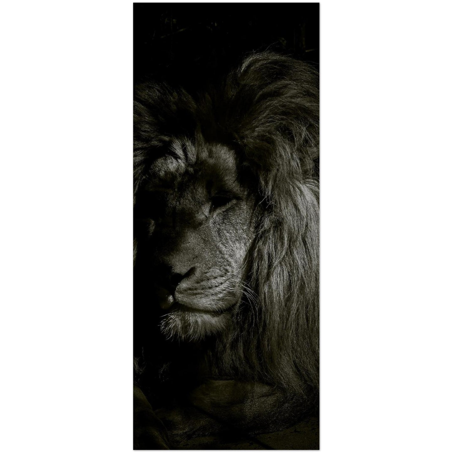 91635225-115d-48ee-aaa7-0058cc360cc1