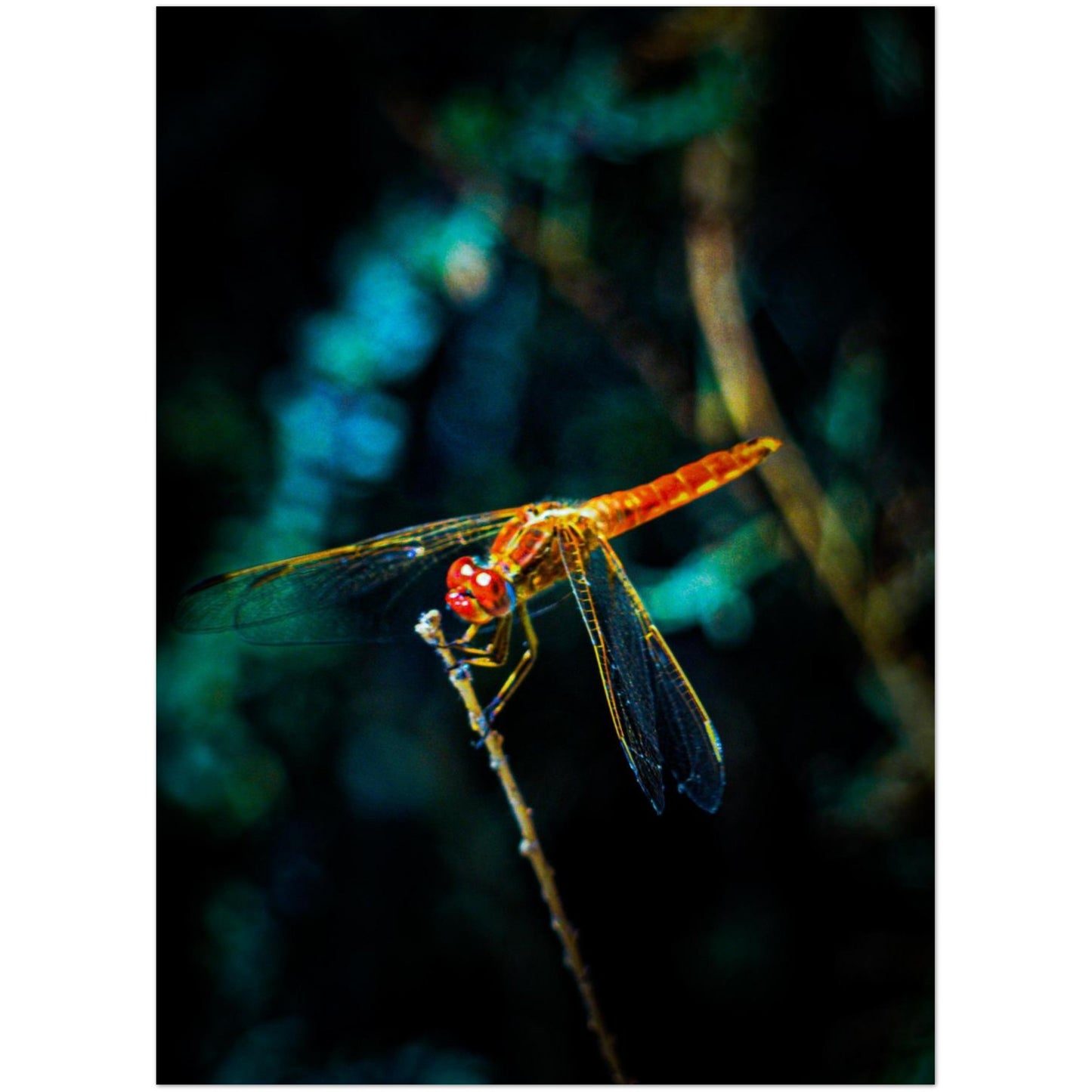 92cf771a-3404-4ac3-9d79-4ac5ddd78324