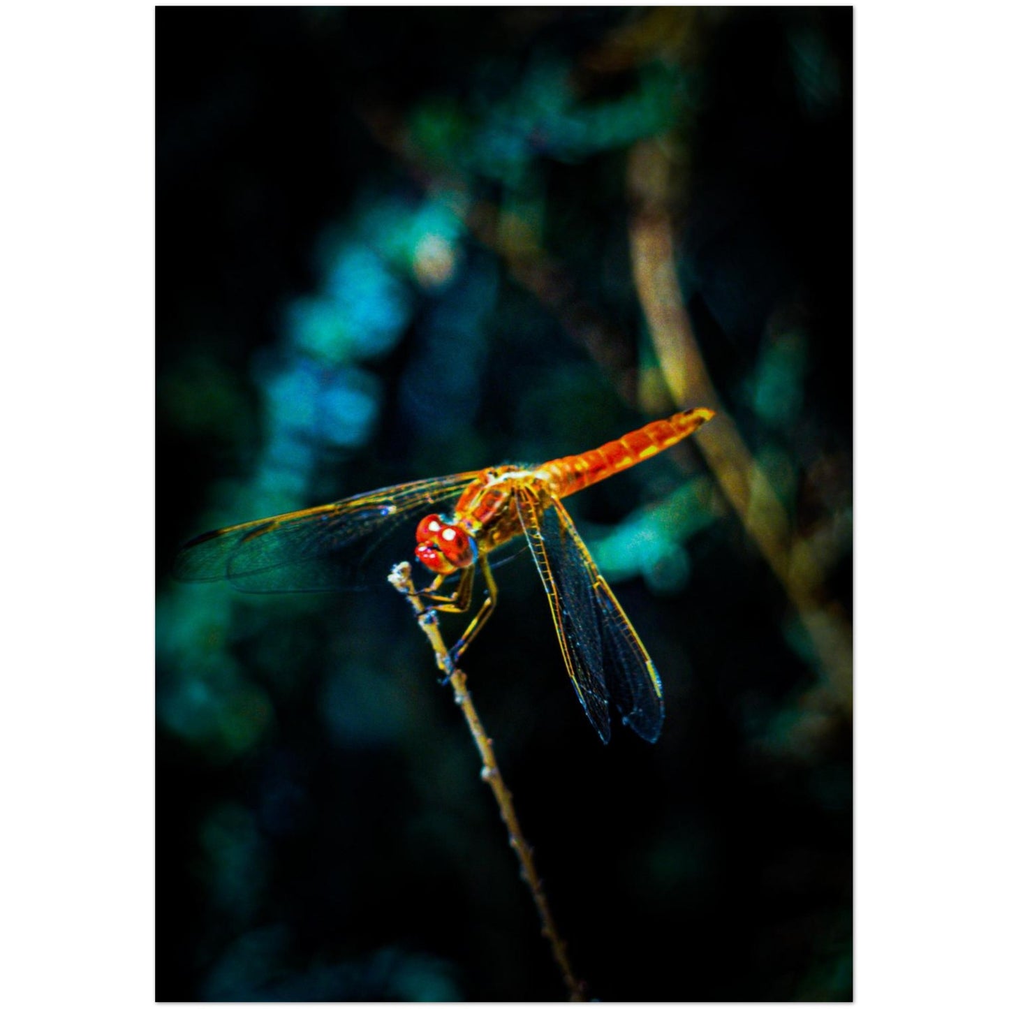 942f241e-a124-4903-9297-72906c4b2186