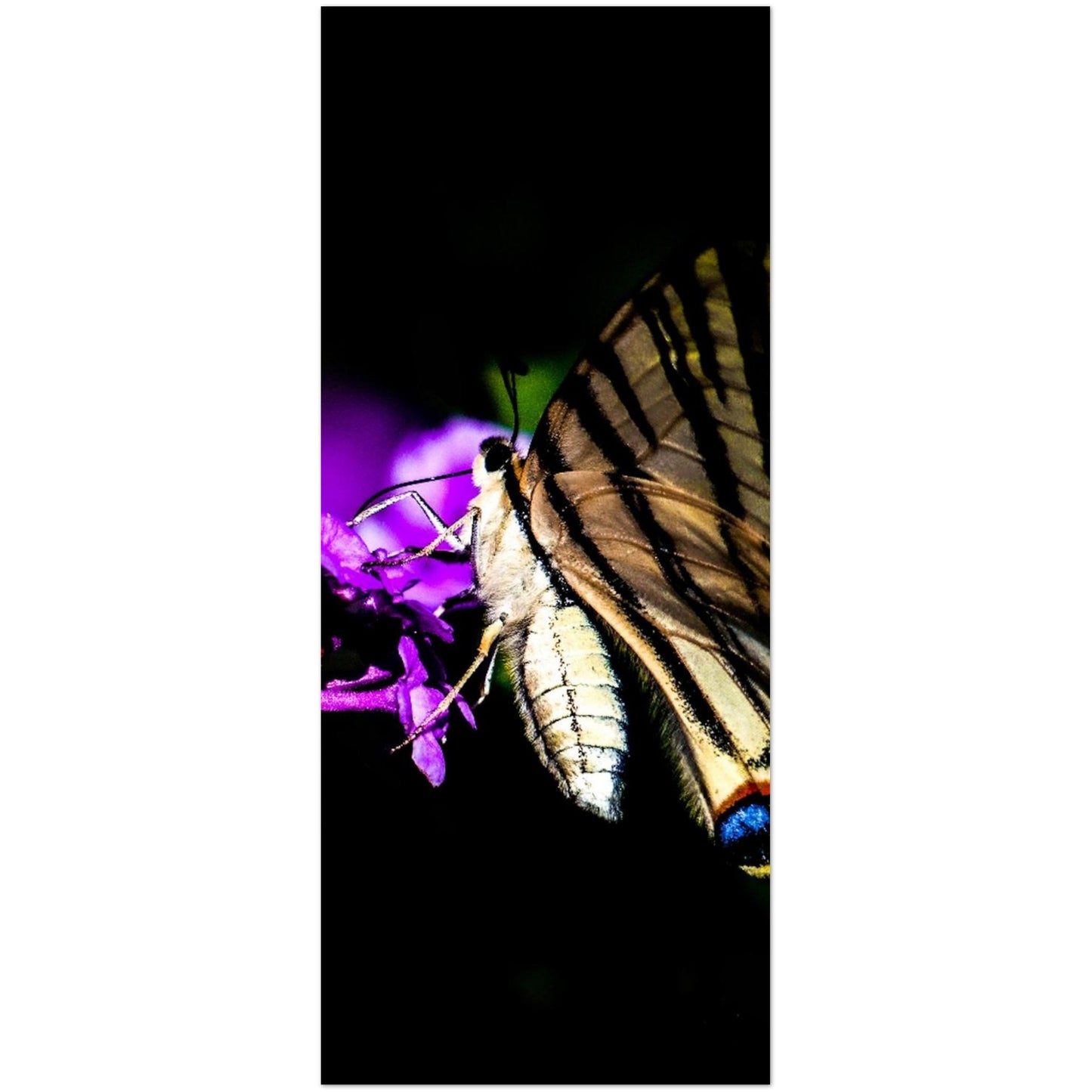 94869a0d-bca0-4f38-b392-9fc75ea534c6