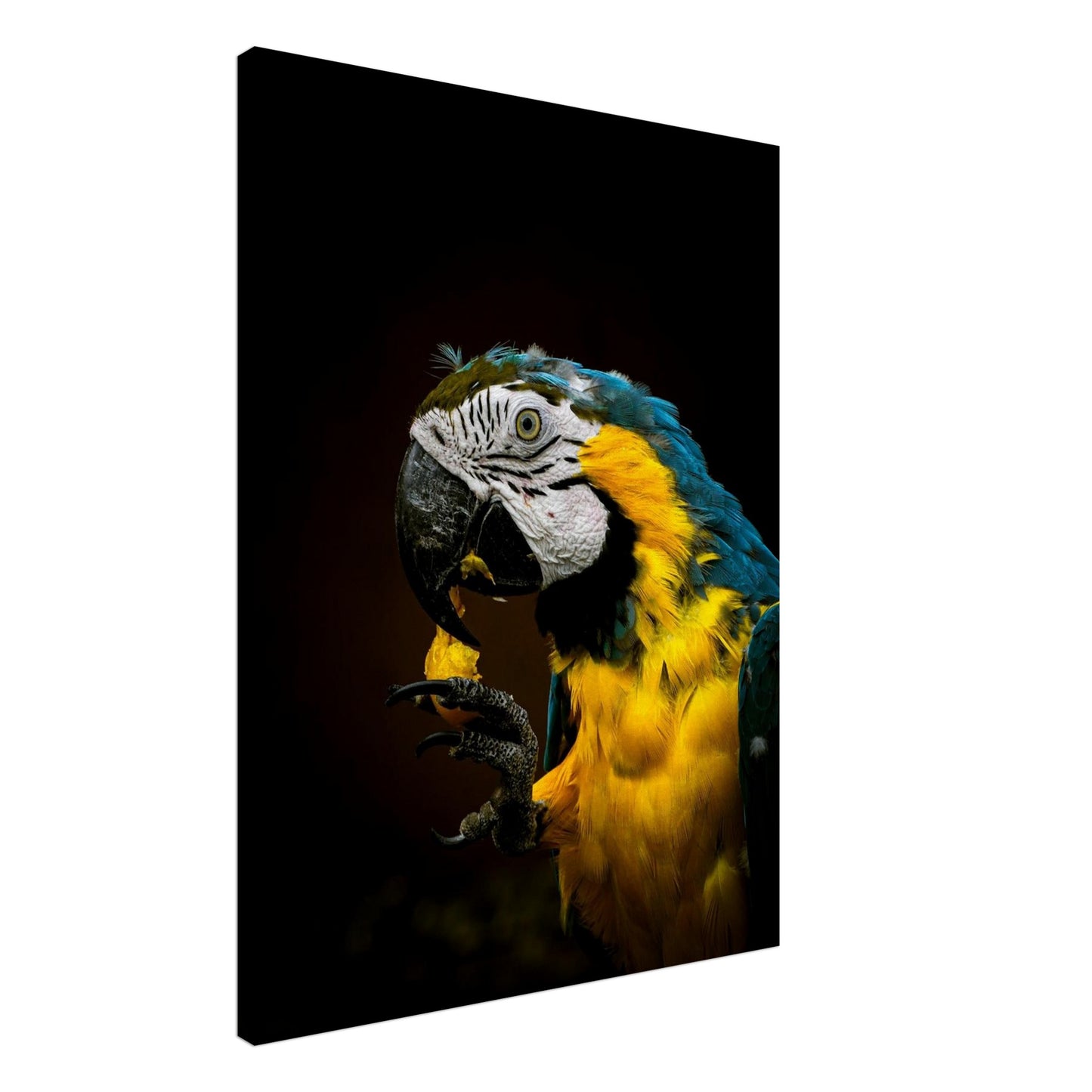 96682b99-1912-43e1-b94c-db12d5225803