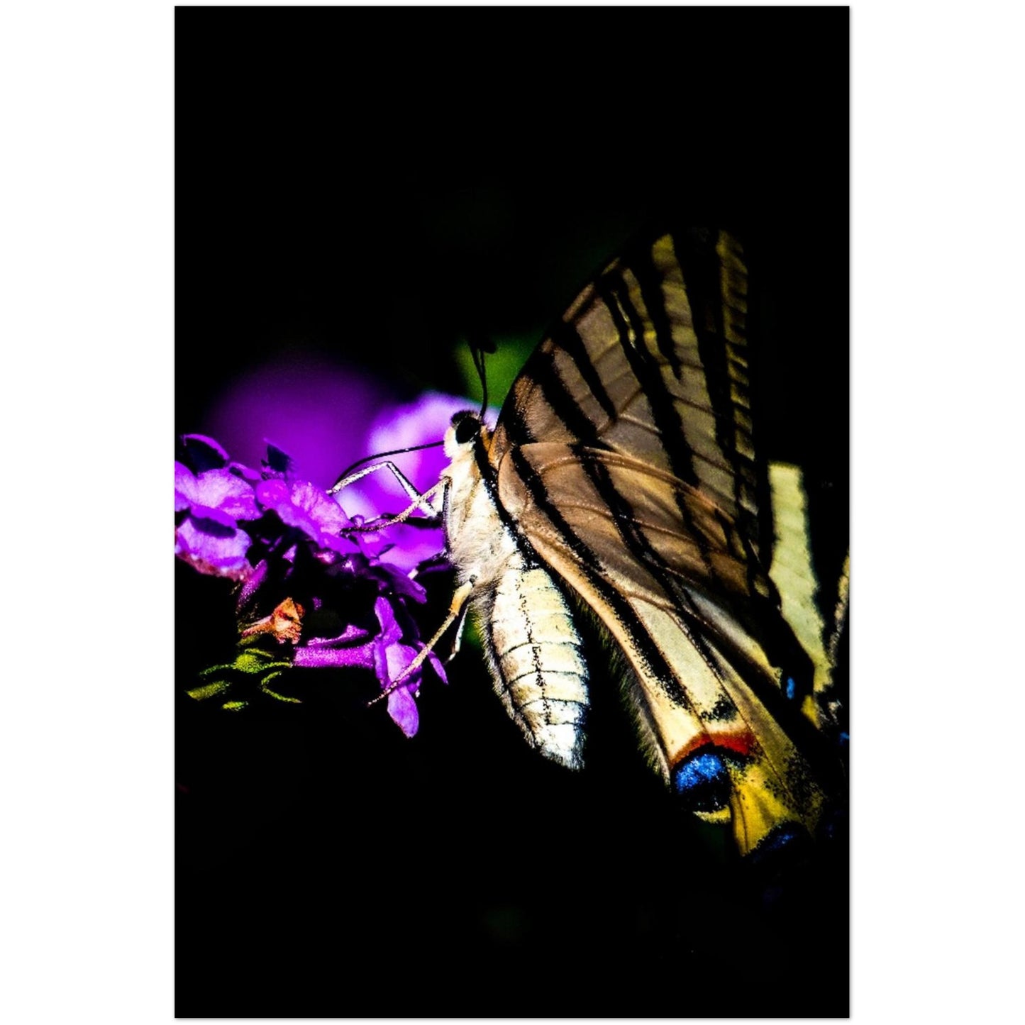 97a6547b-83c4-4316-abd5-b65ee11f9e62