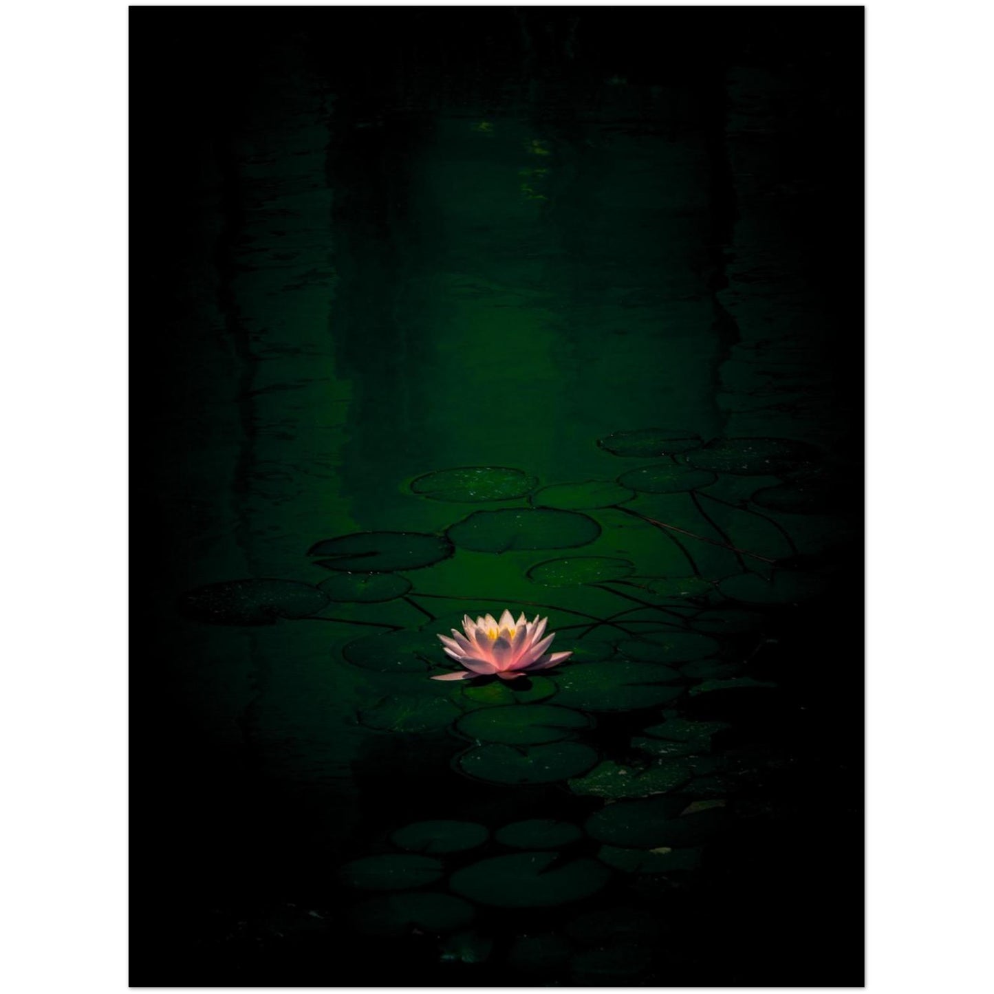 9889c332-ff19-4e9a-8836-7b642b2109f0