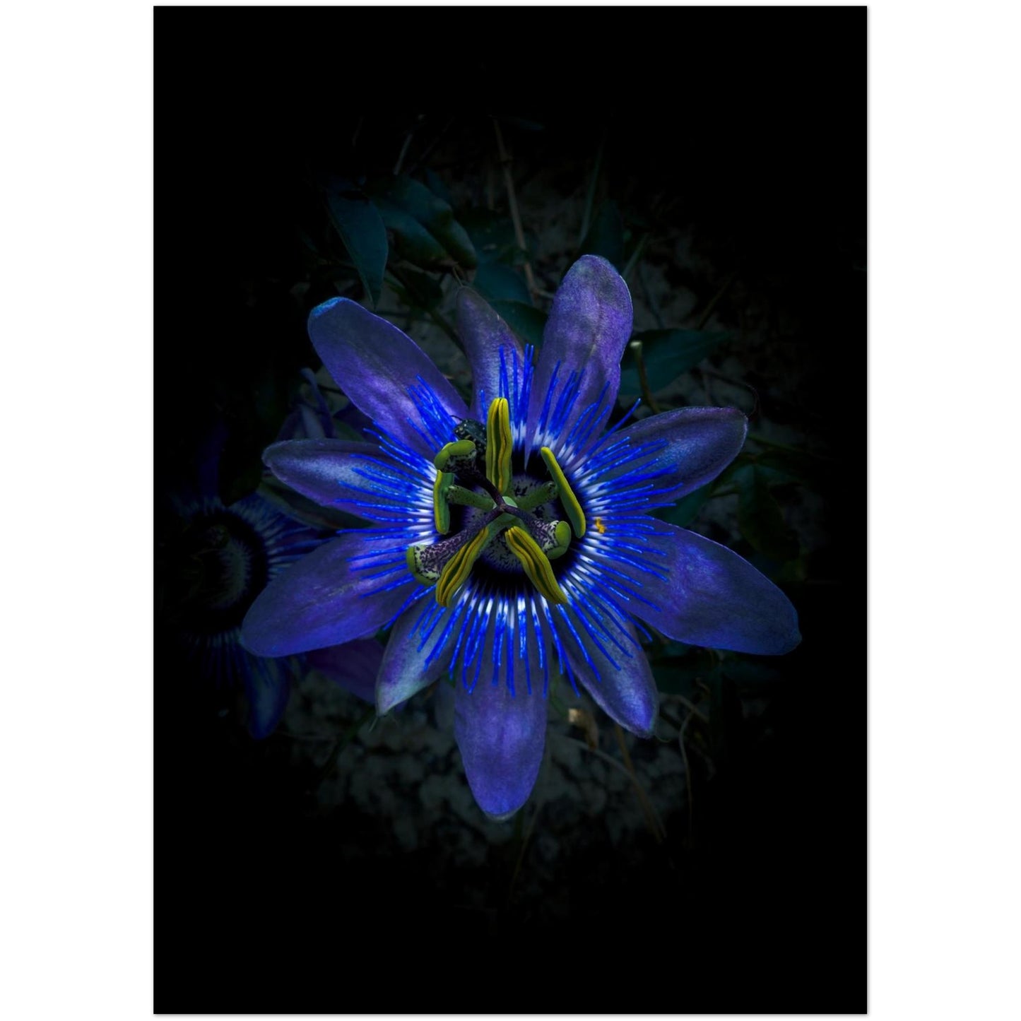 99c5d4ad-5e75-48ff-a858-4a202736febe