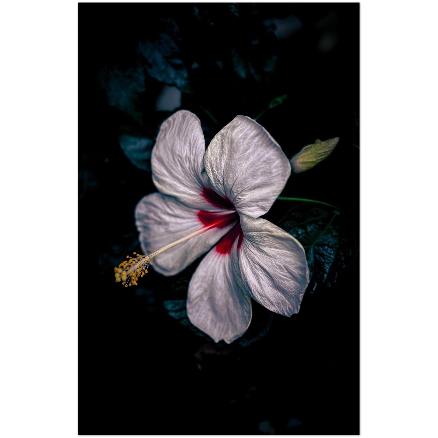 9bfda266-80f2-49fe-ad7c-60abeb579d2d