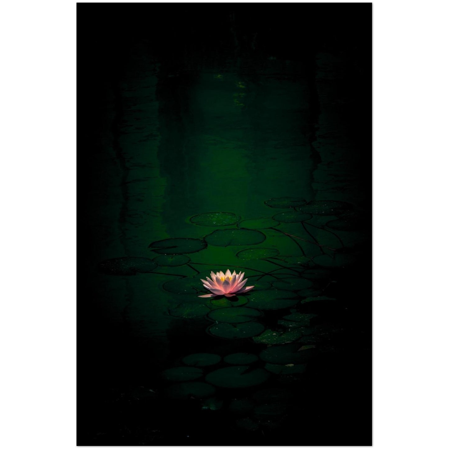 9d92ca00-de46-4e73-bf26-5c47800a327a