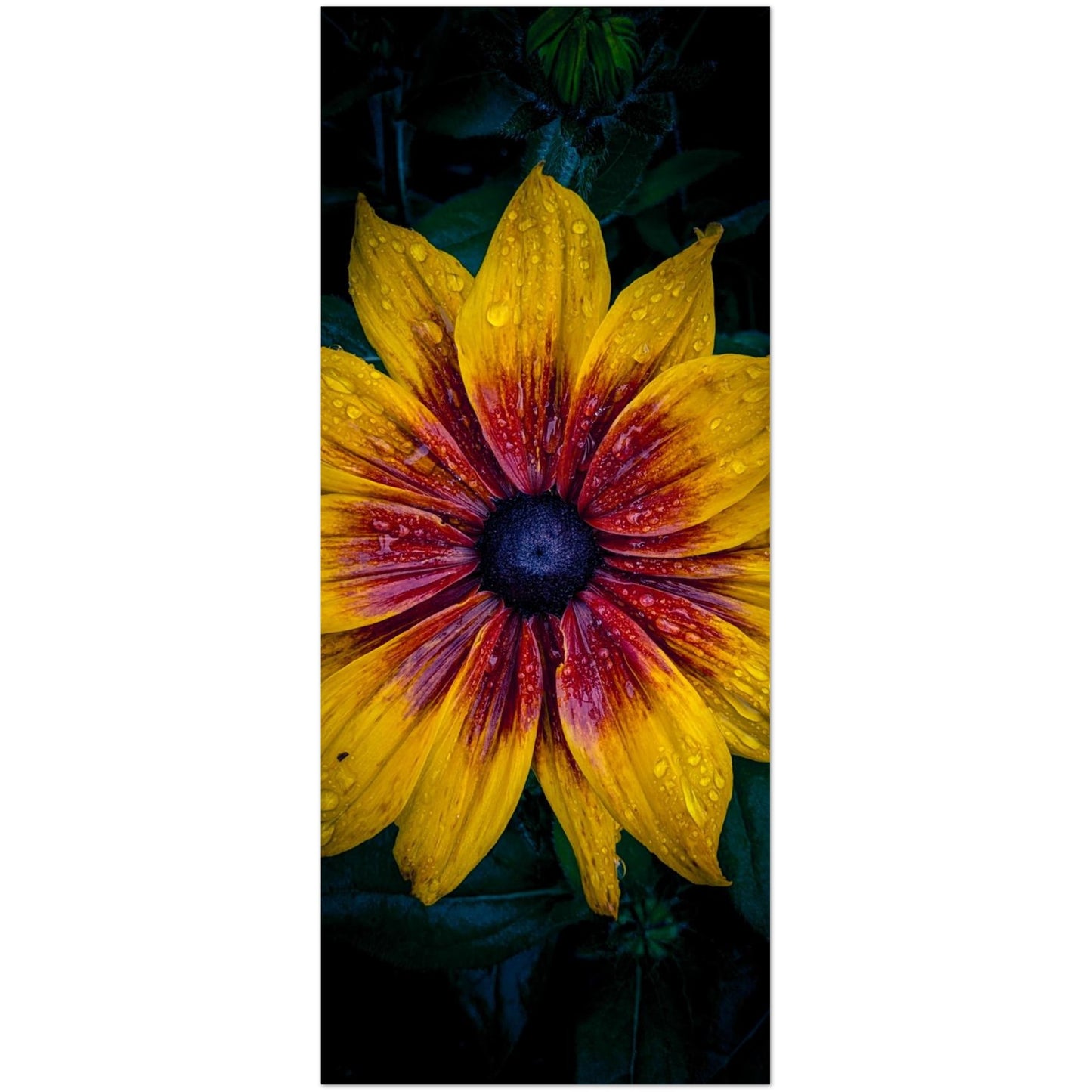 9dad7f97-8f50-434f-be4d-7cbbd144d3fd