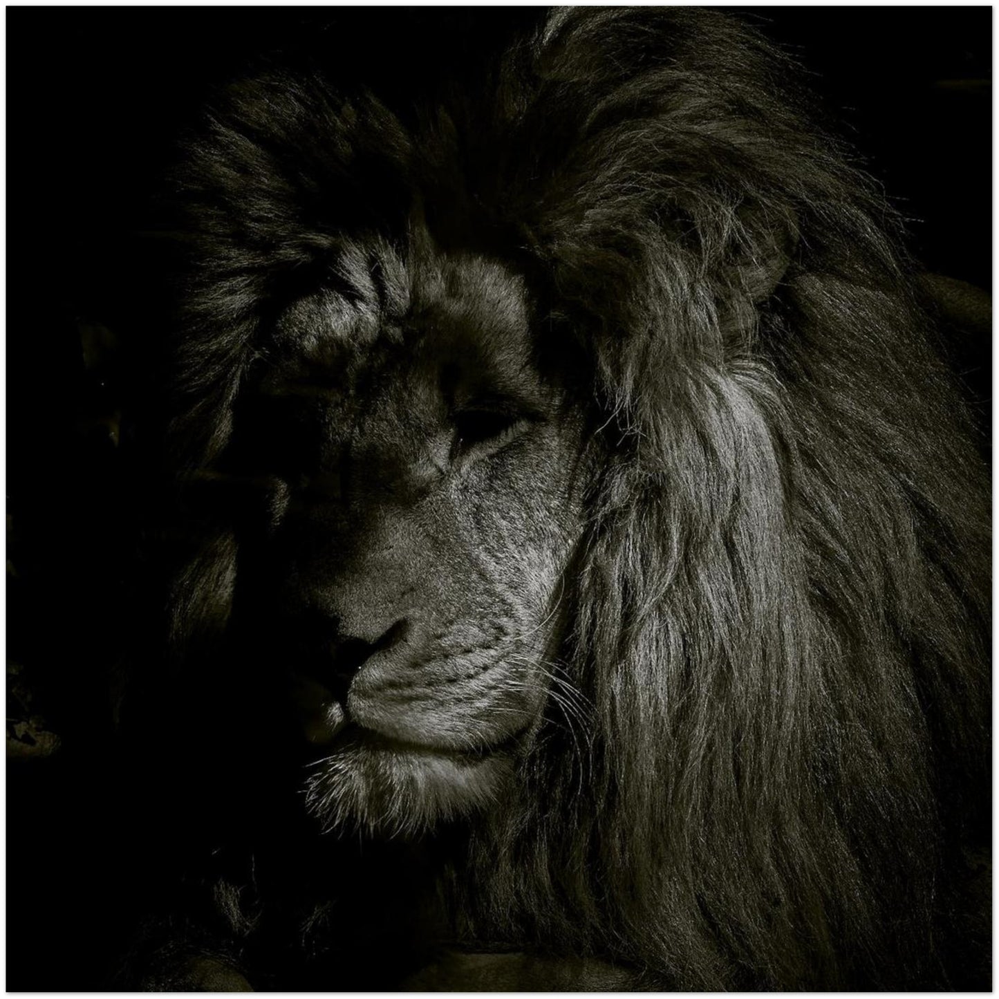 9df893ce-30cc-4a79-9607-aa0e0517cfde