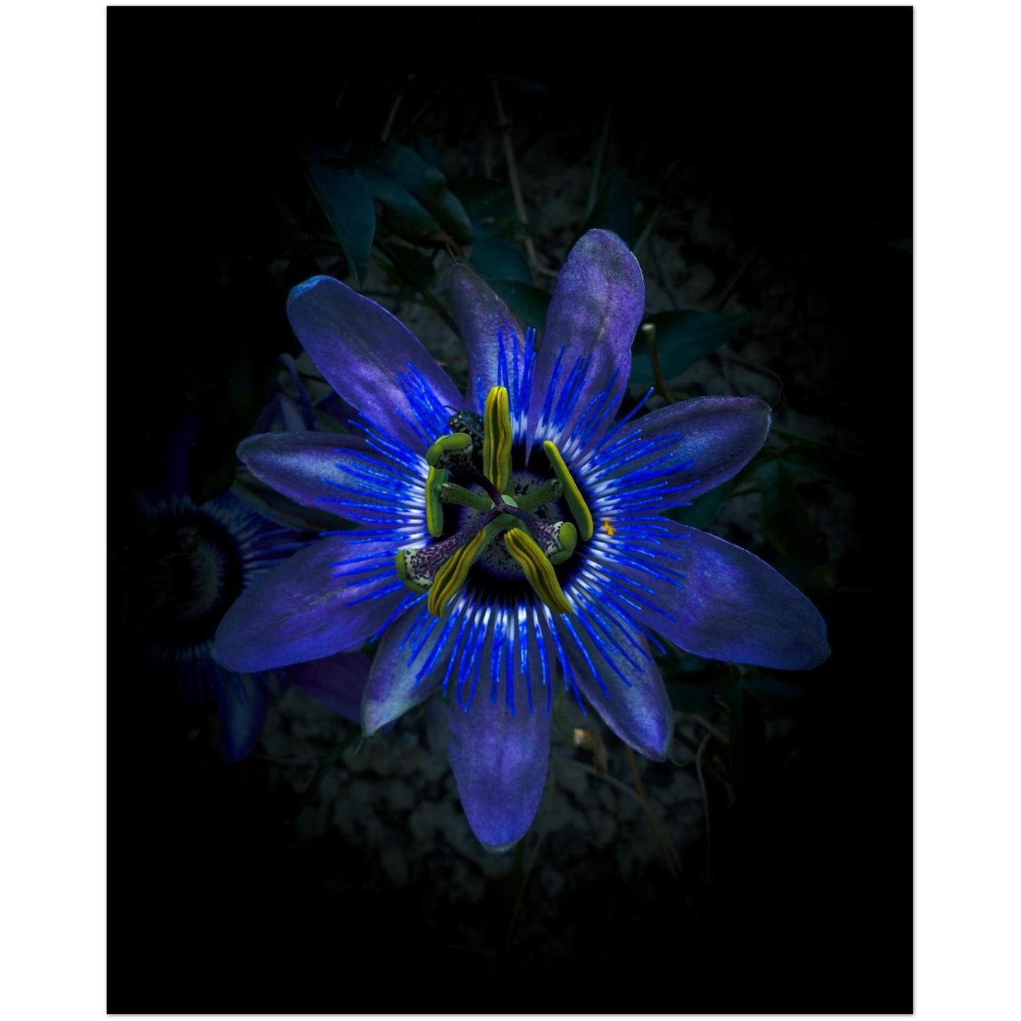 9ec8cf7c-9629-4041-9790-63ade4fdee98