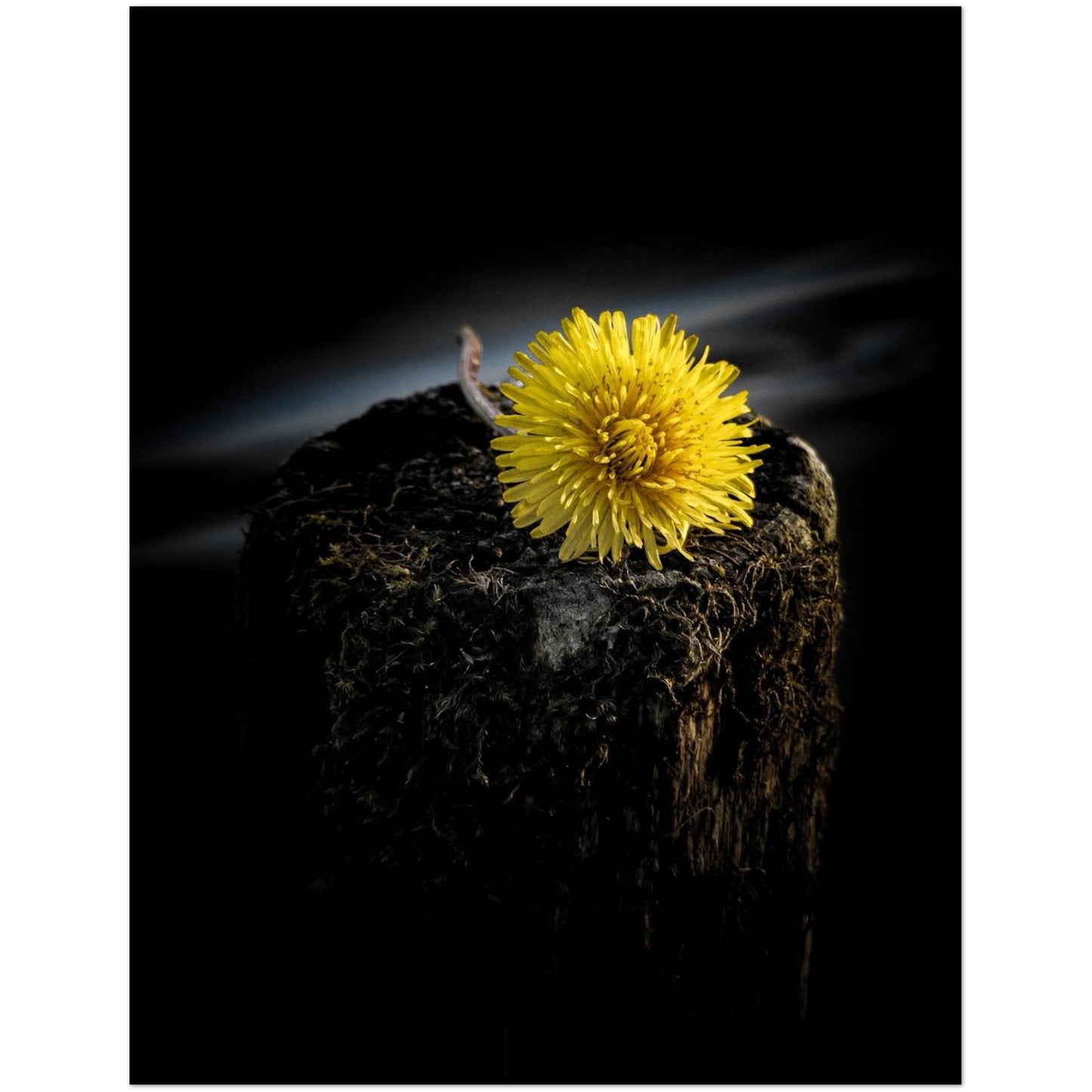 a071e778-42f6-4068-9c0f-a66675b27878