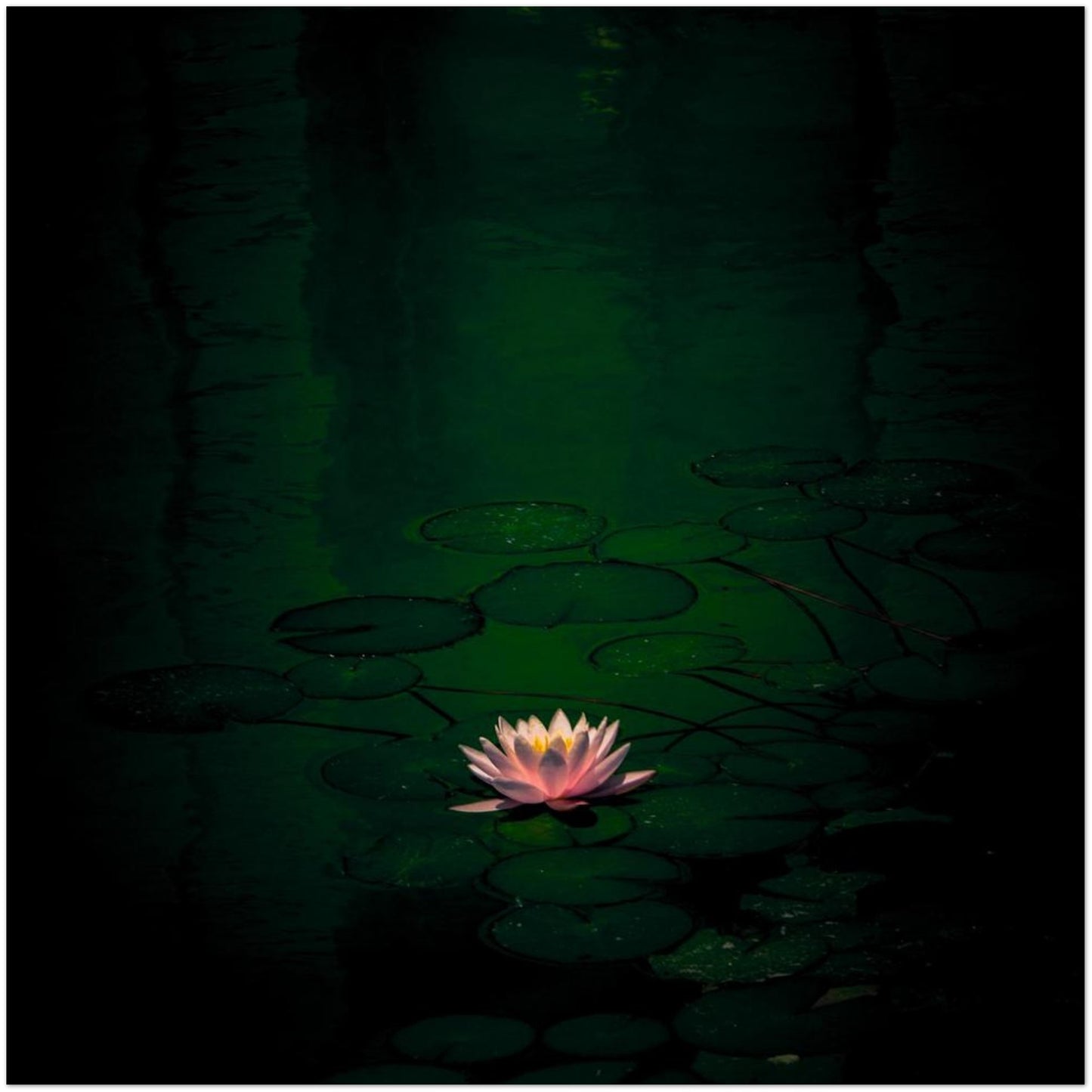 a15ccb36-665f-4492-aad7-5014dd5782c8