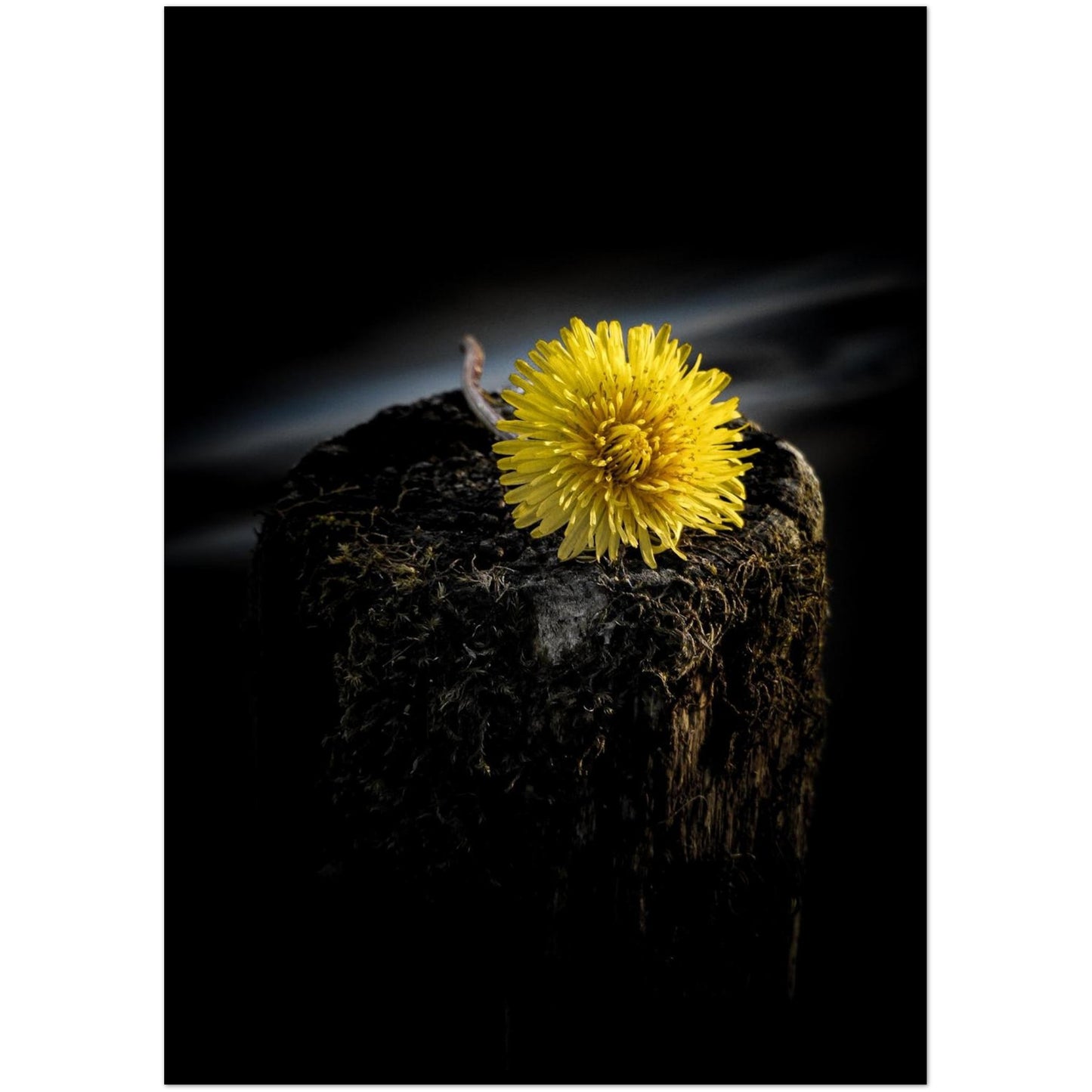 a28fcce2-b4b5-464e-943c-8fd2c88b5a43