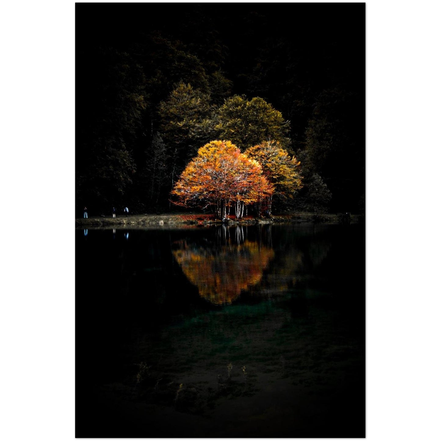 a2c4f0ad-4fdb-4b03-9458-3a54d62663f2