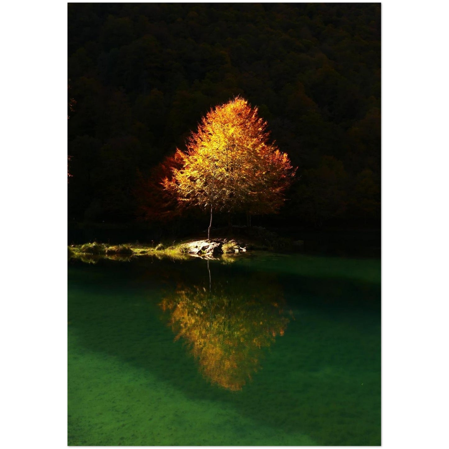 a2d6e04f-448e-4a1d-ab35-092a0767e7c2