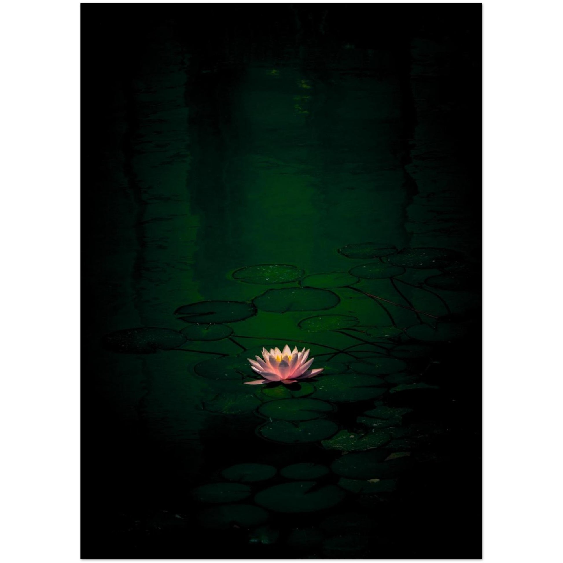 a32a35c0-1334-4f0d-9016-eabe88c0934d