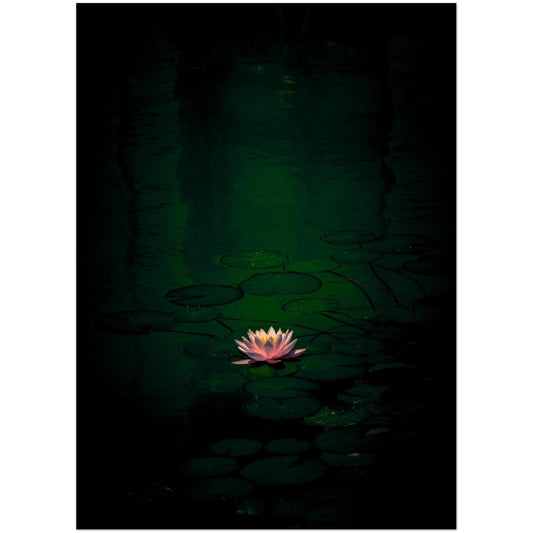 a32a35c0-1334-4f0d-9016-eabe88c0934d