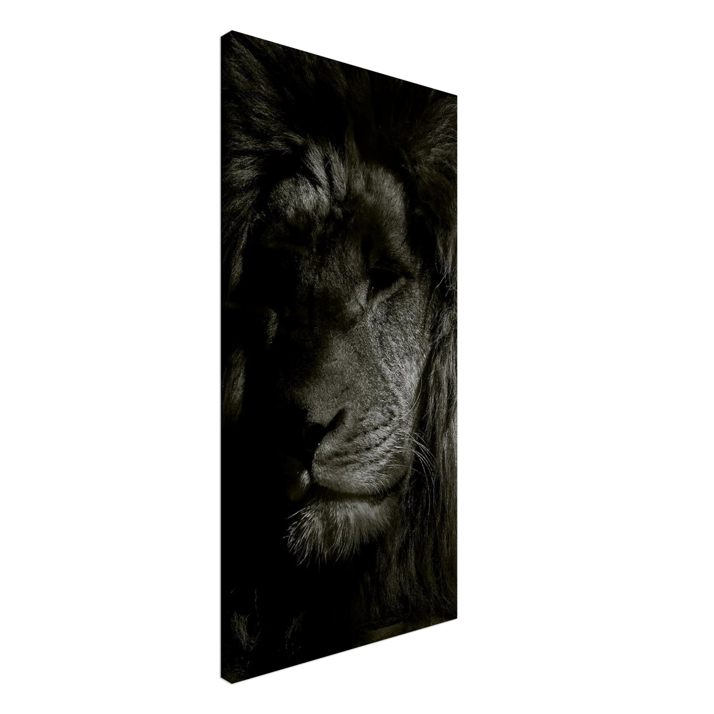 a39a5896-c757-4b9c-8a72-7130869d96fe