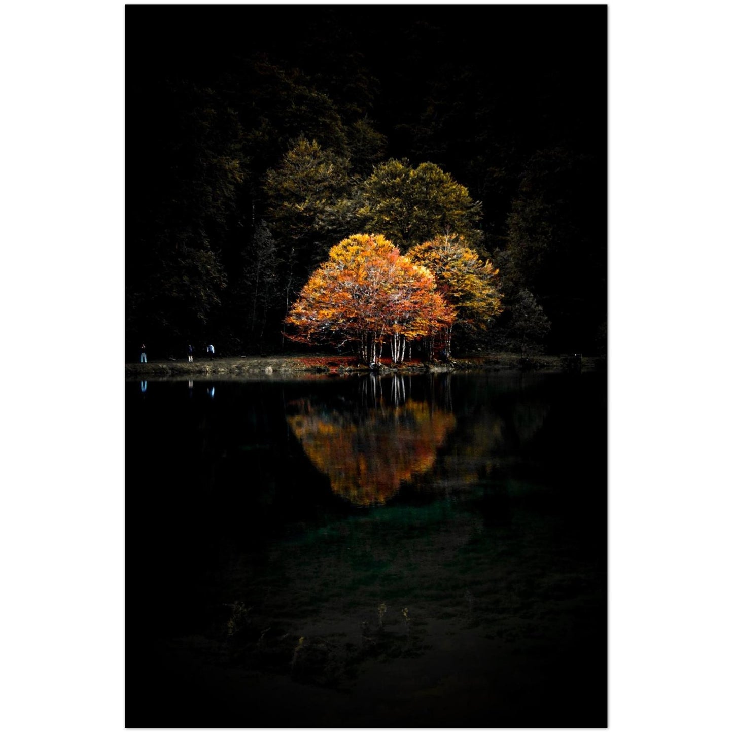 a480b3f8-f0f8-4fe3-a205-93baf1a96998