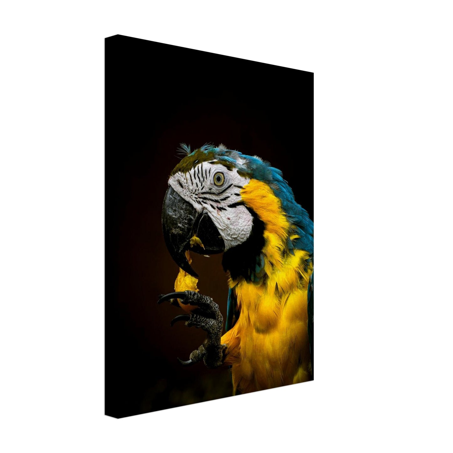 a4ab16a0-e57a-4c88-aba5-8782593d19ff