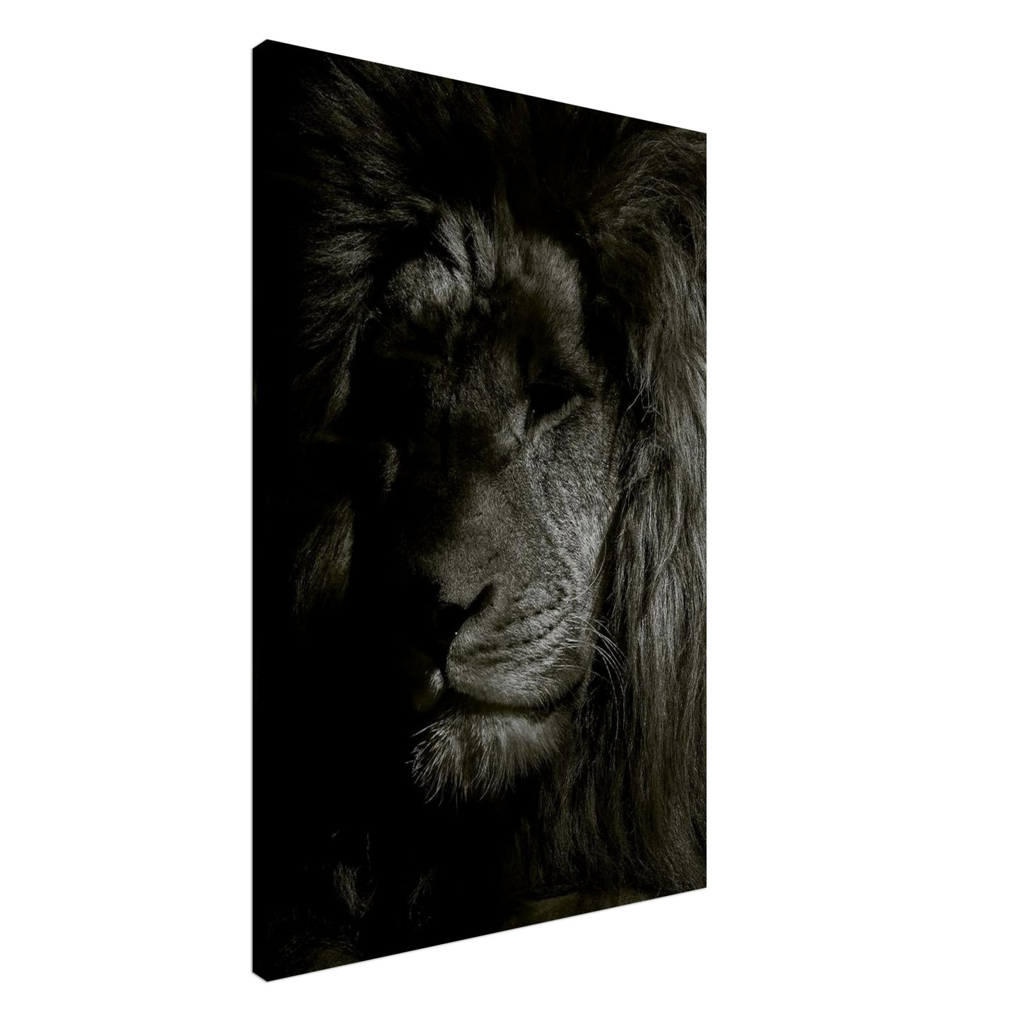 a50078d4-86be-4220-bdbc-4c289bcadc29