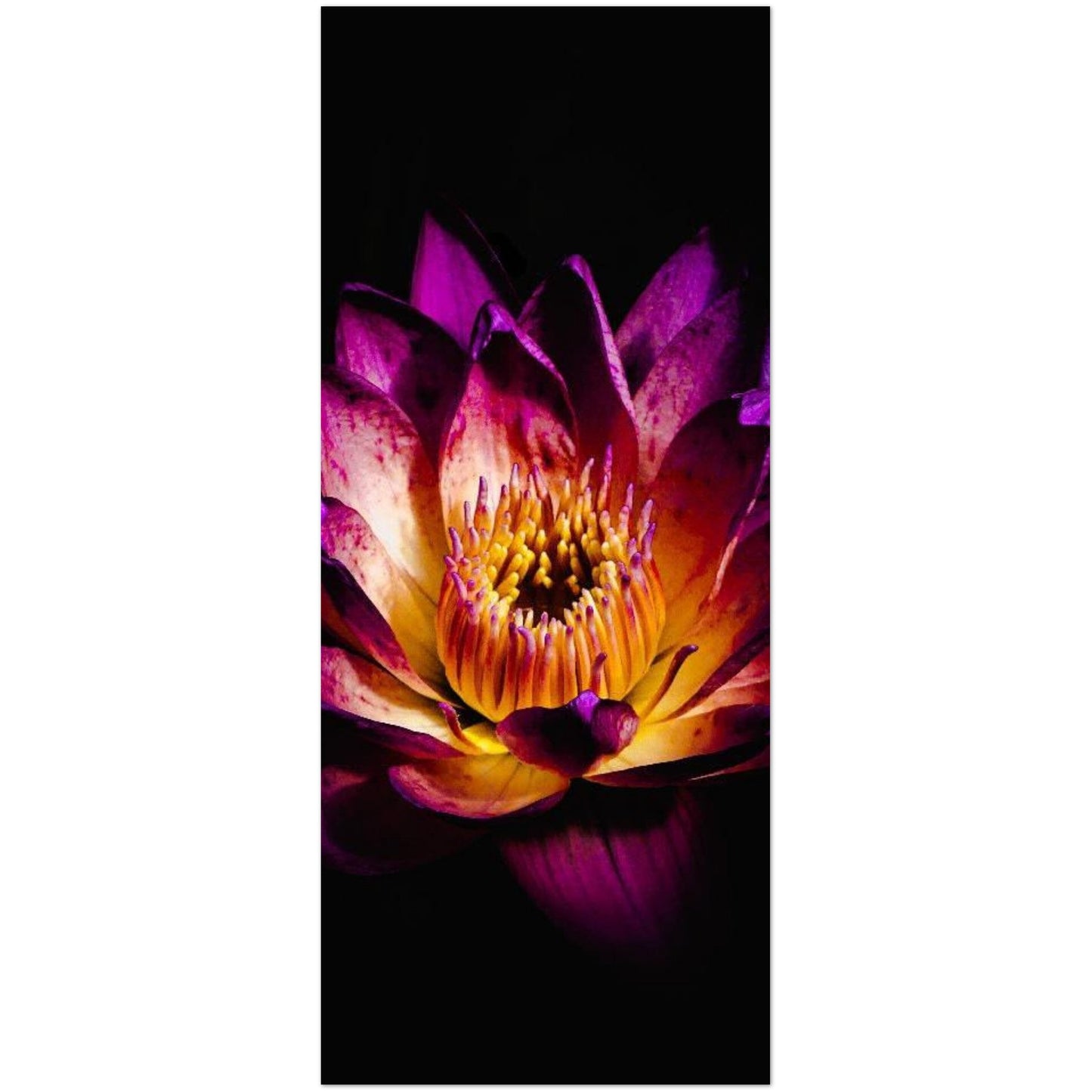 a6610032-c4b6-4feb-aec6-f50c48bc2deb