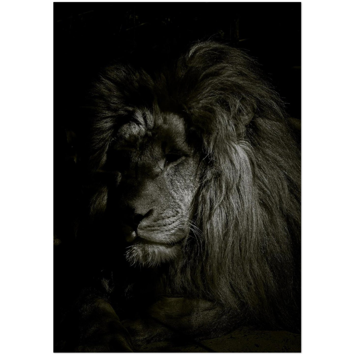 a6d984da-71a1-42d2-b02f-f2b8adfef4f9