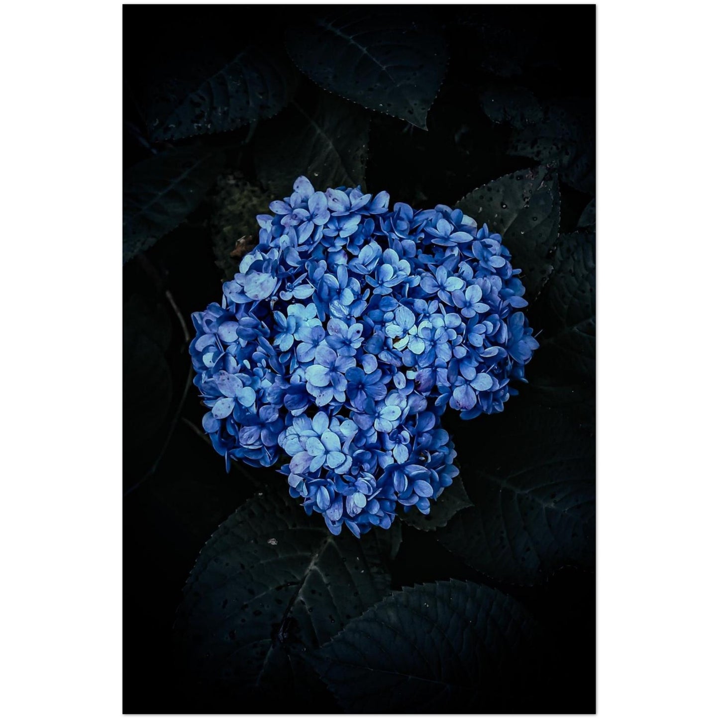 a70174fb-9ceb-4389-a28b-33fa891b26dc