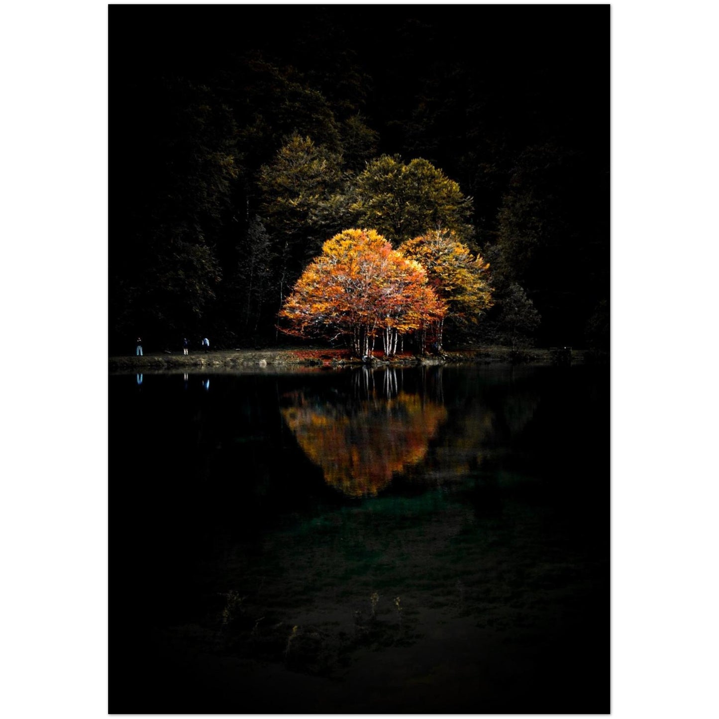 a7401d74-7805-460a-ba74-742729cbe58b