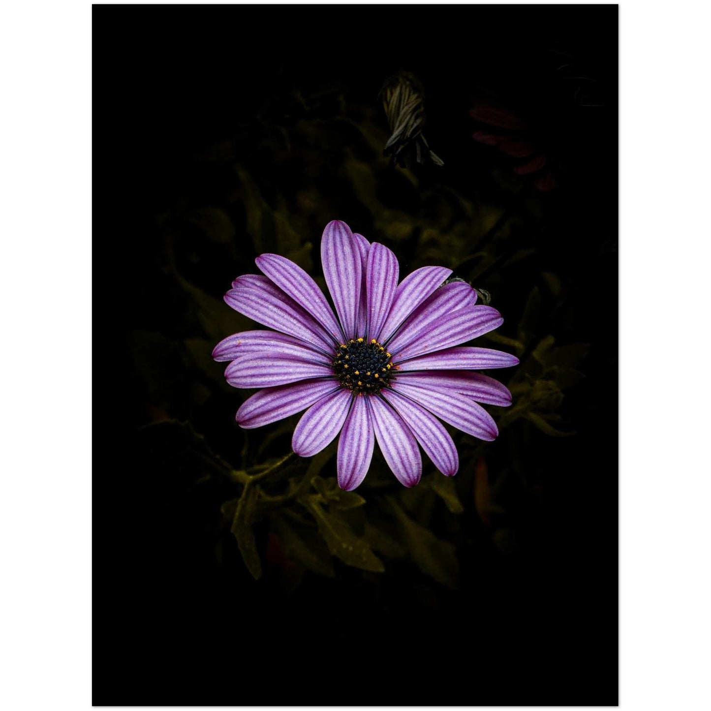 a76cd503-420b-4158-80c6-bde64d45fcf2