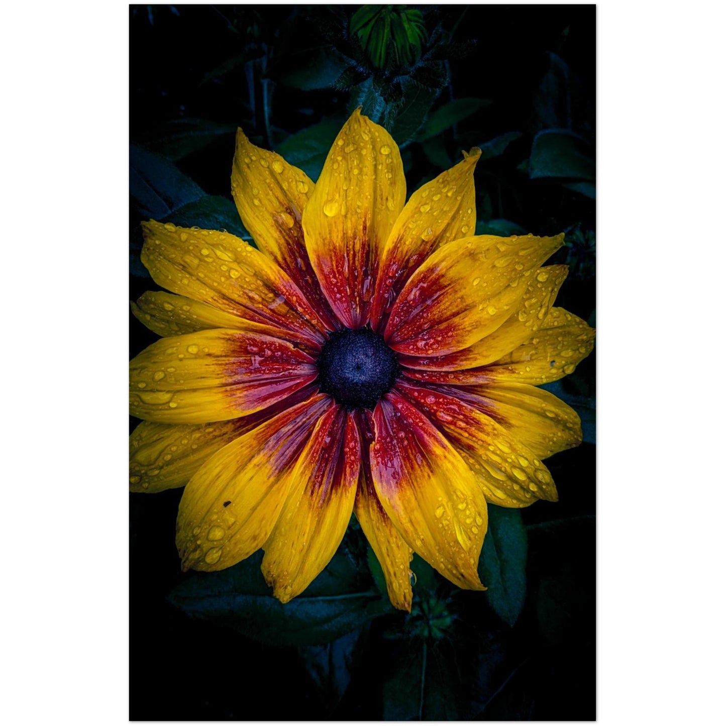 a8791d73-d4d9-4957-9359-0580c7c5b968