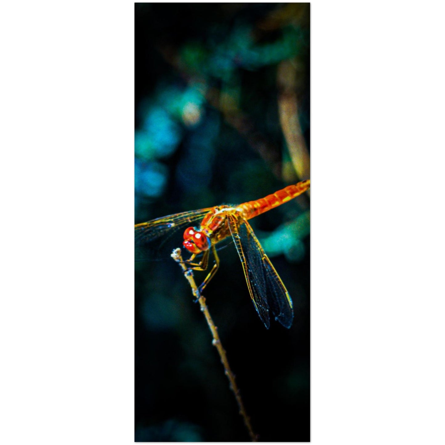 a93ec392-7f6c-4b47-a7da-b8e748cc3d8b