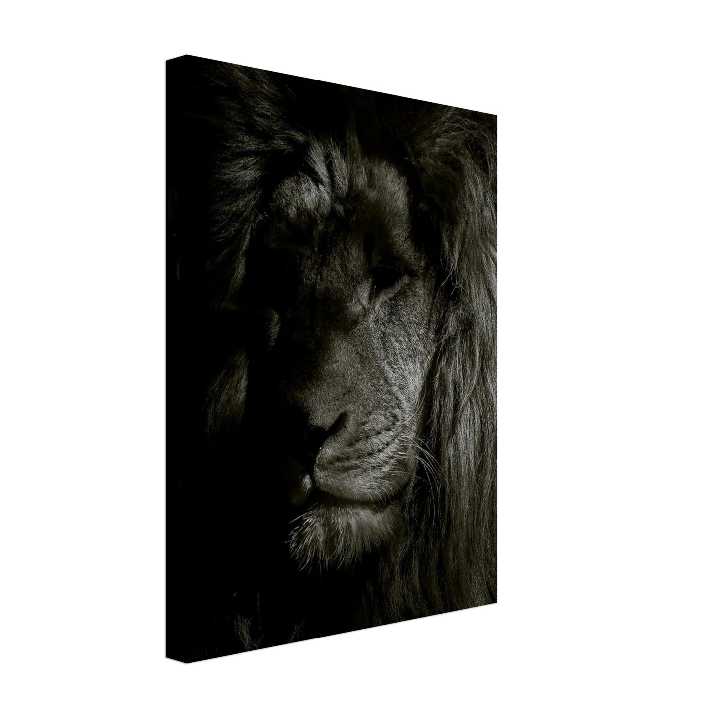 a993f705-e20c-44da-bb75-ad00545aaa2a